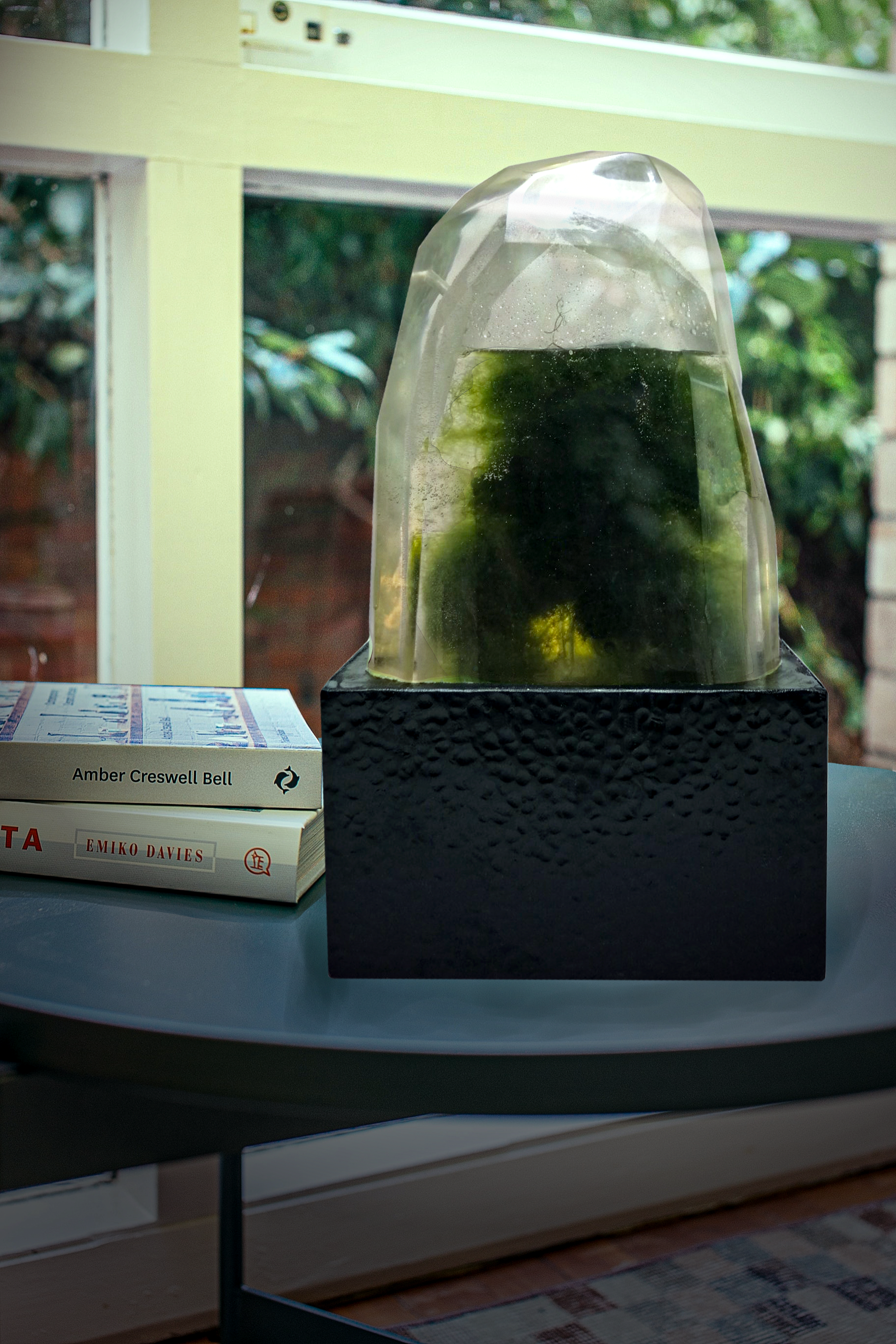 algae-for-clean-air.png