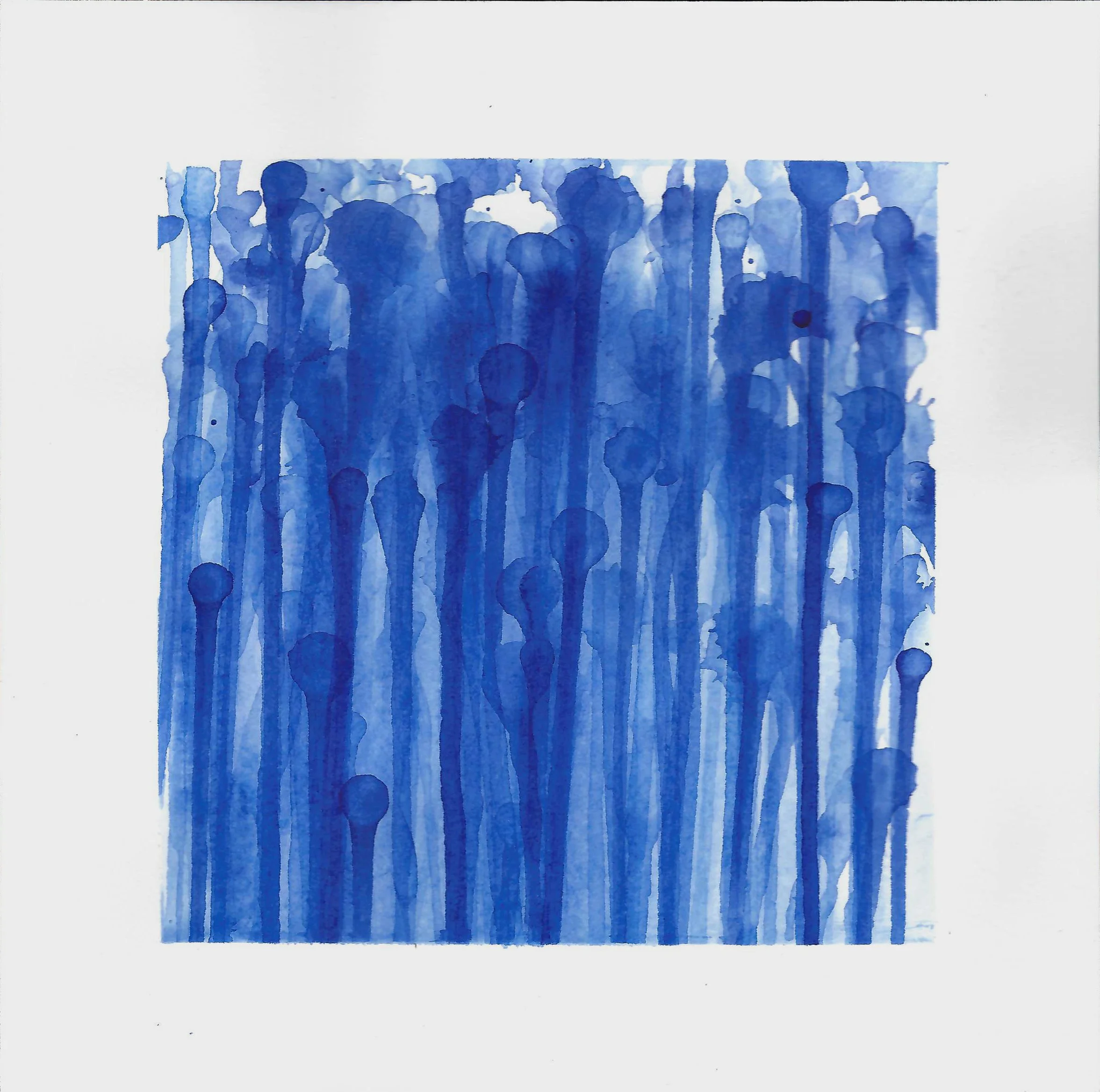 Chromatic Studies 2019-2020