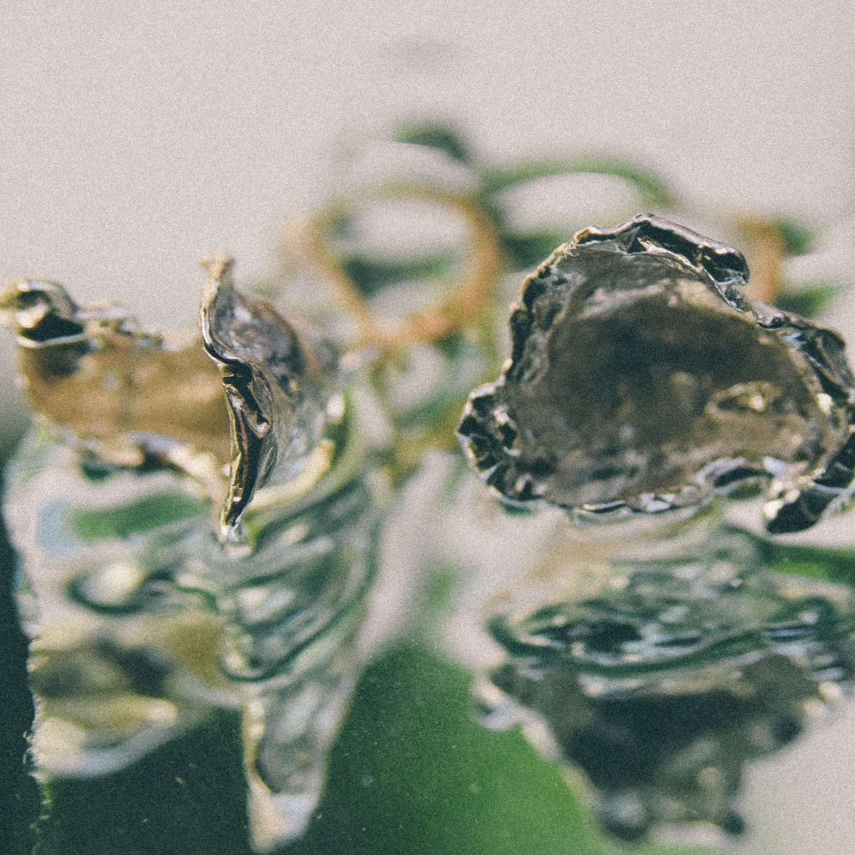 Water+Forms-18.jpg