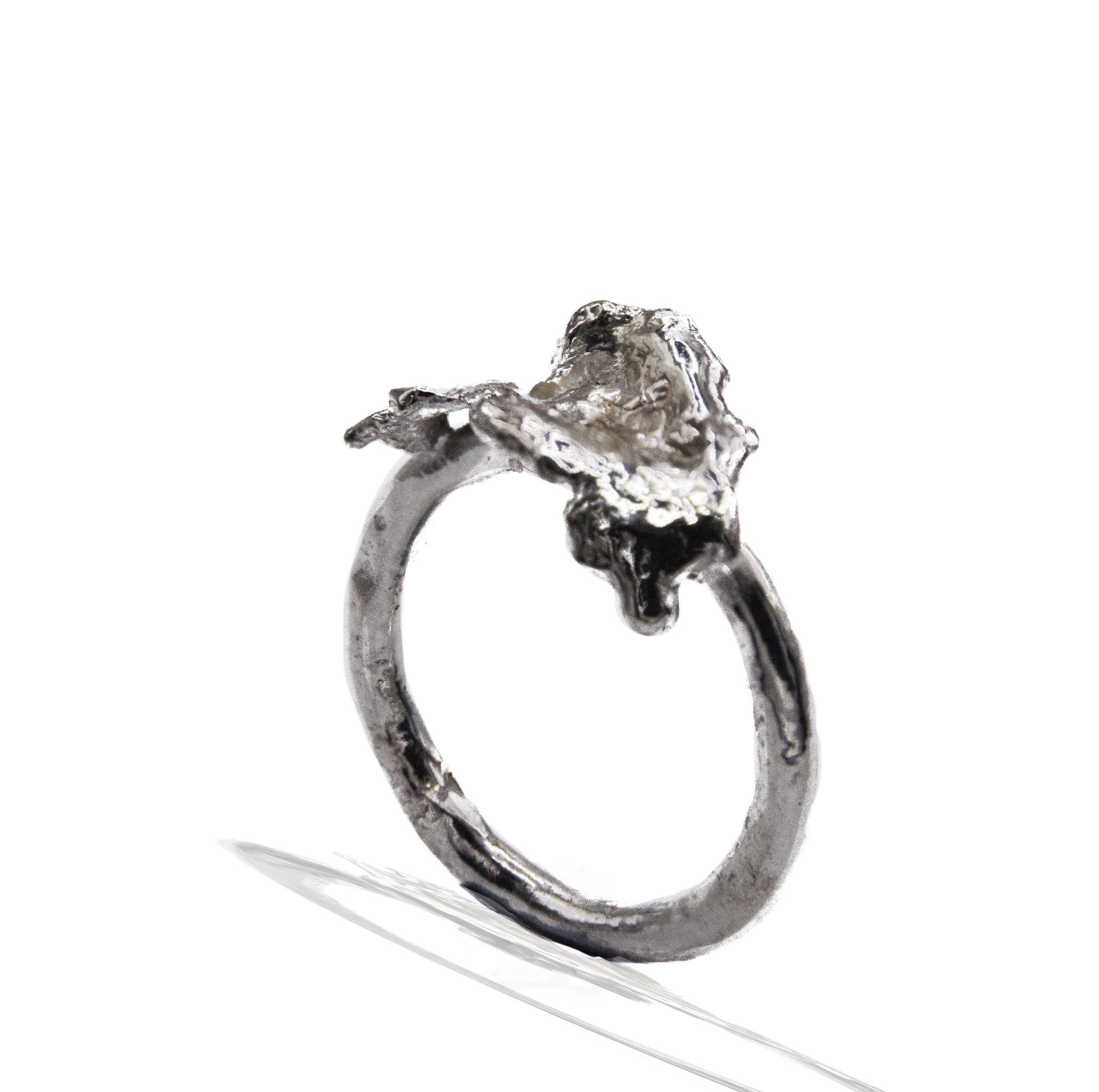 Cresting wave ring-Edit.jpg