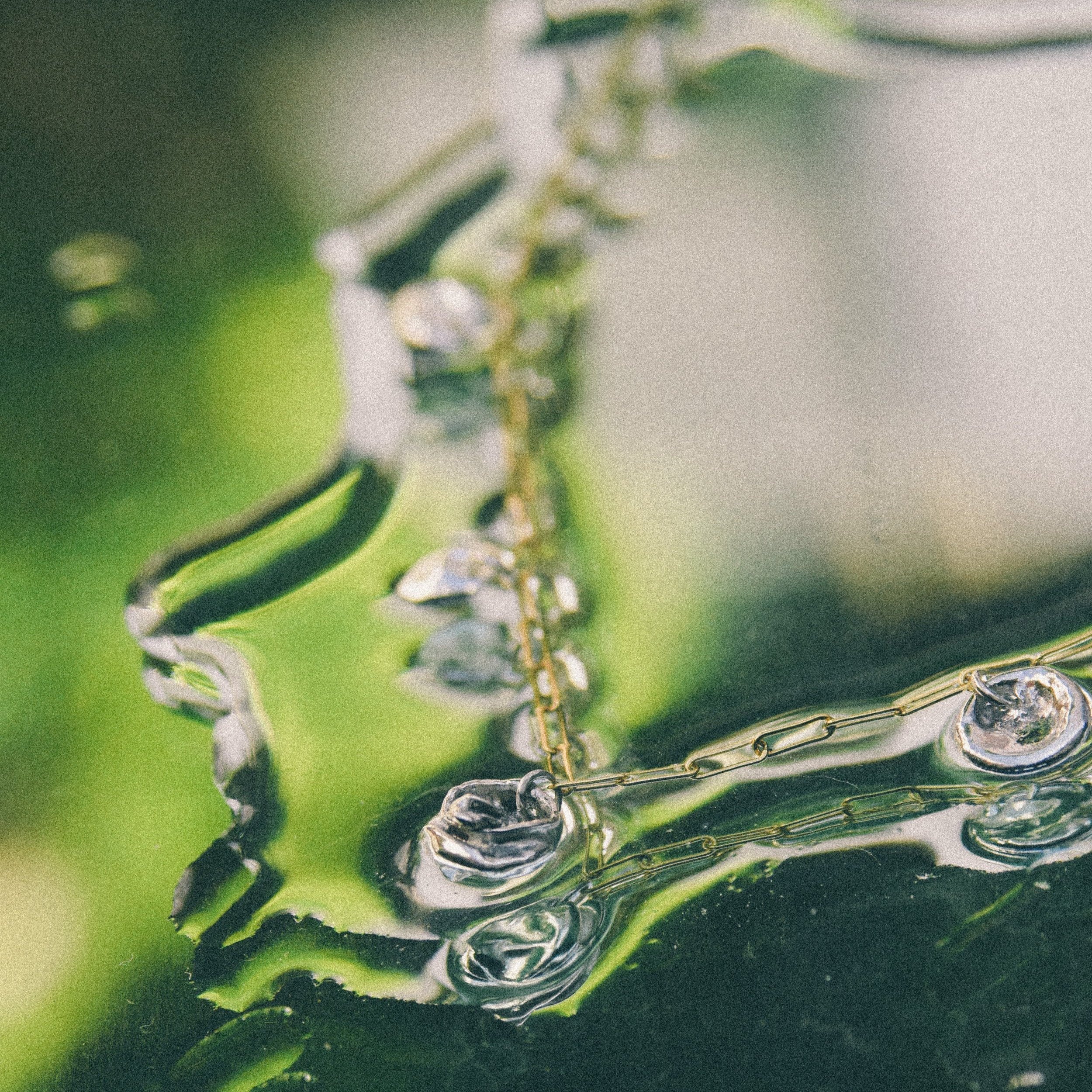 Water+Forms-04.jpg