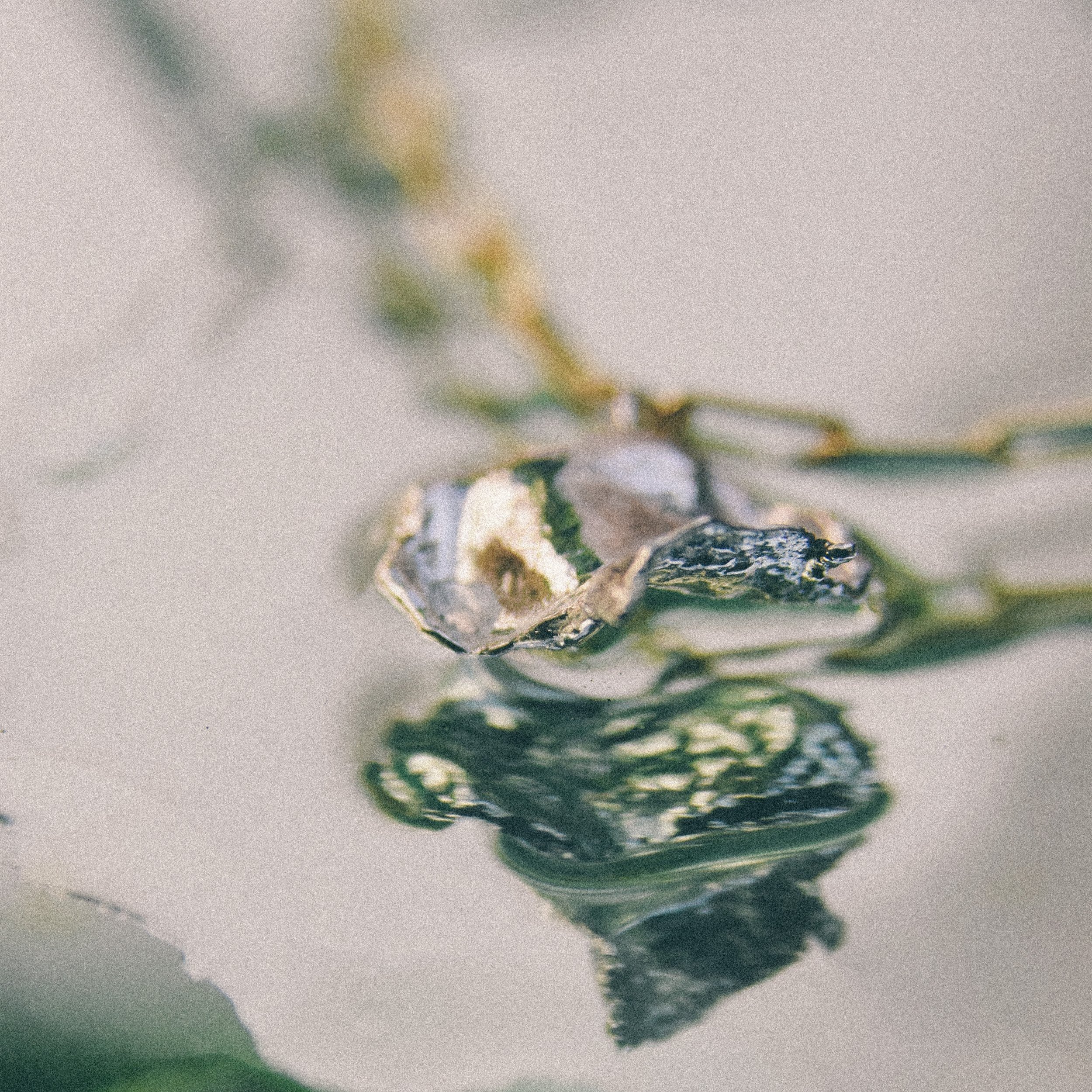 Water+Forms-07.jpg