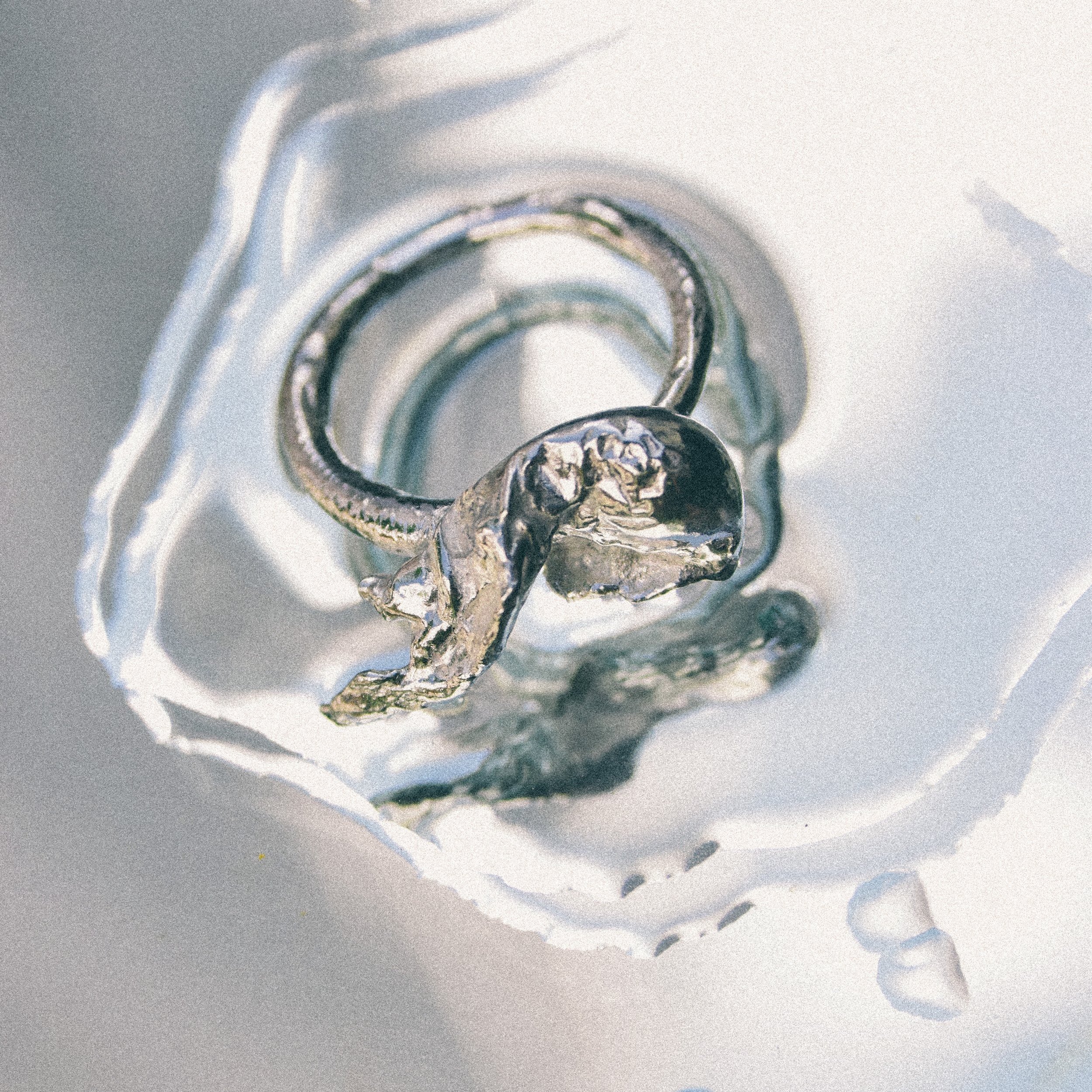 Water+Forms-23.jpg