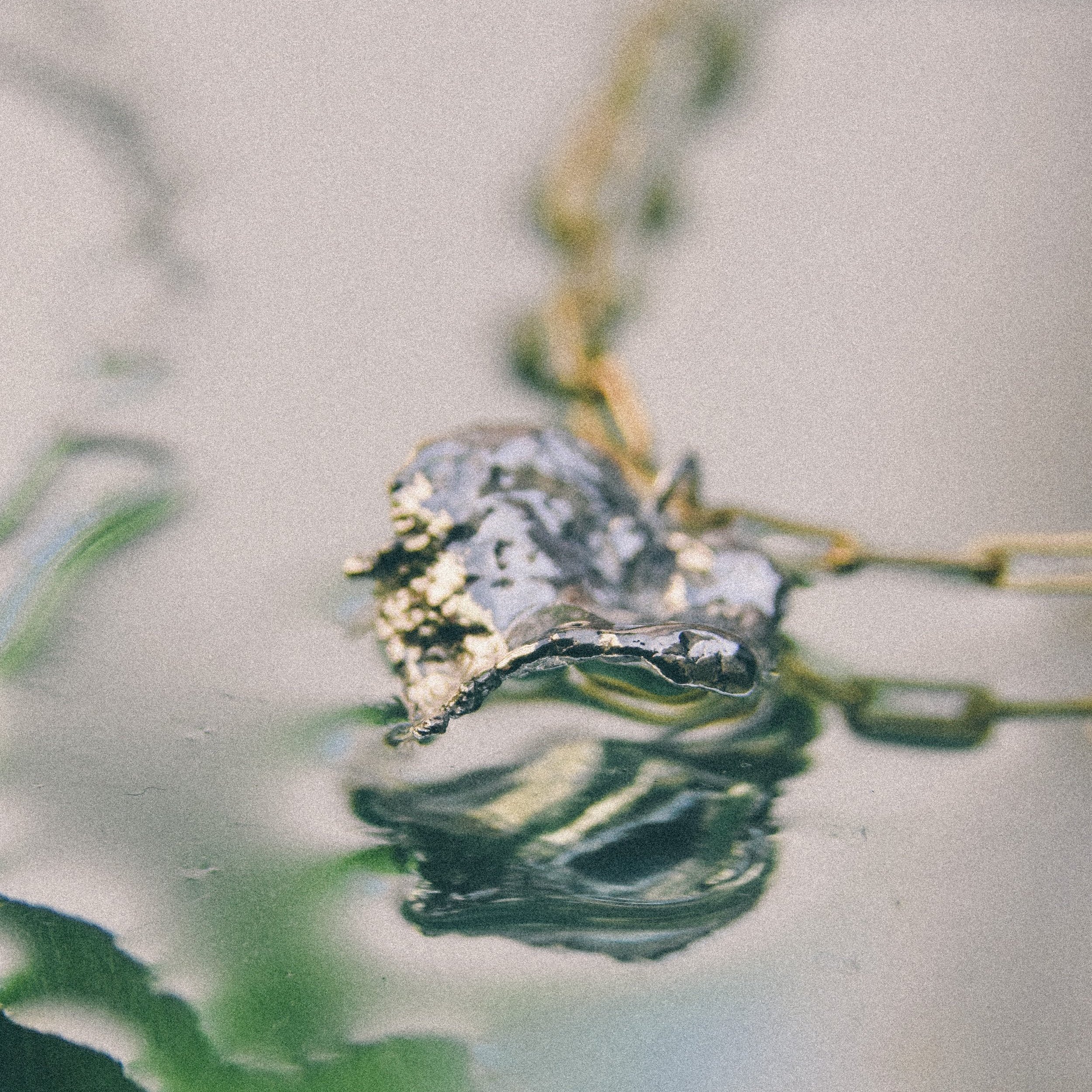Water+Forms-05.jpg