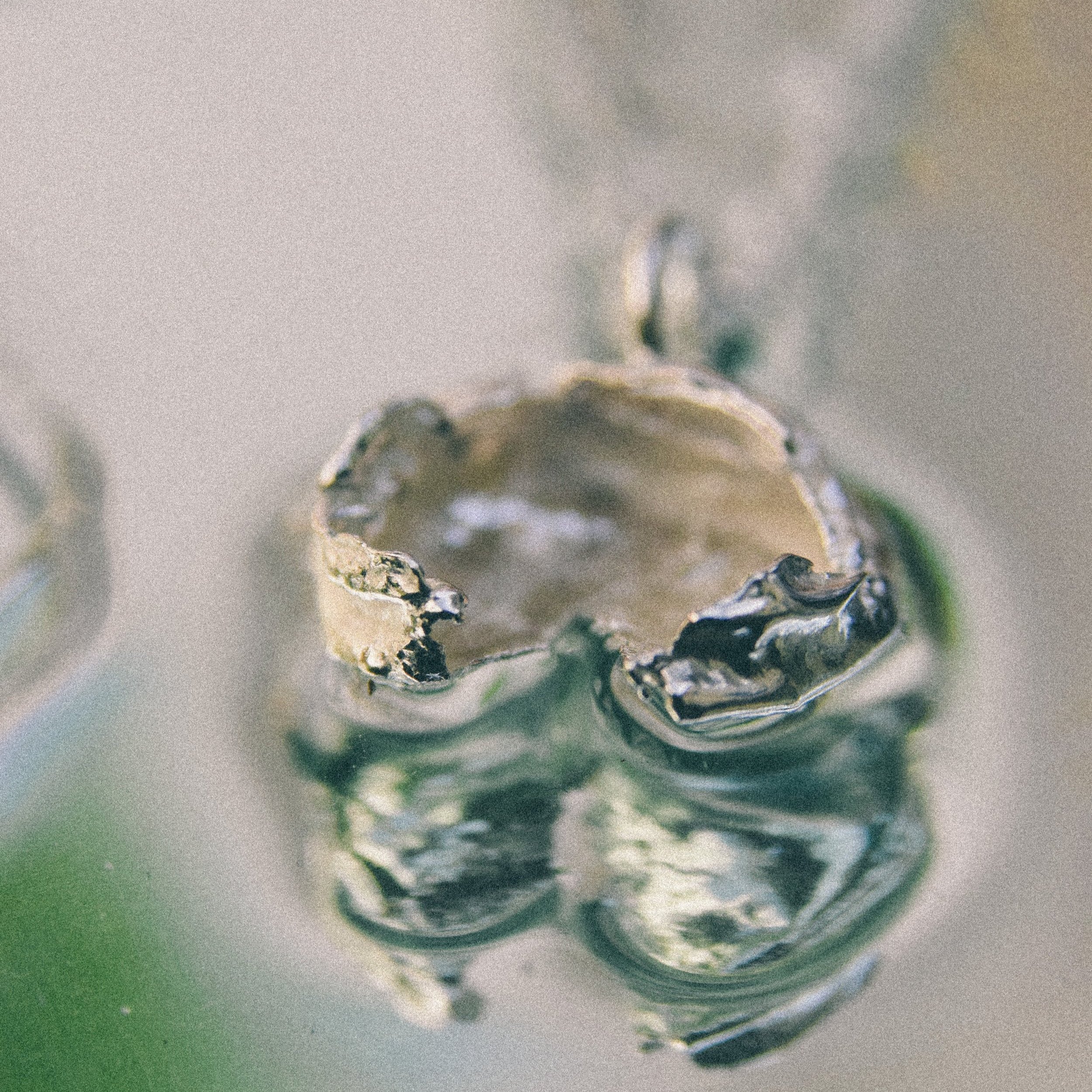Water+Forms-09.jpg