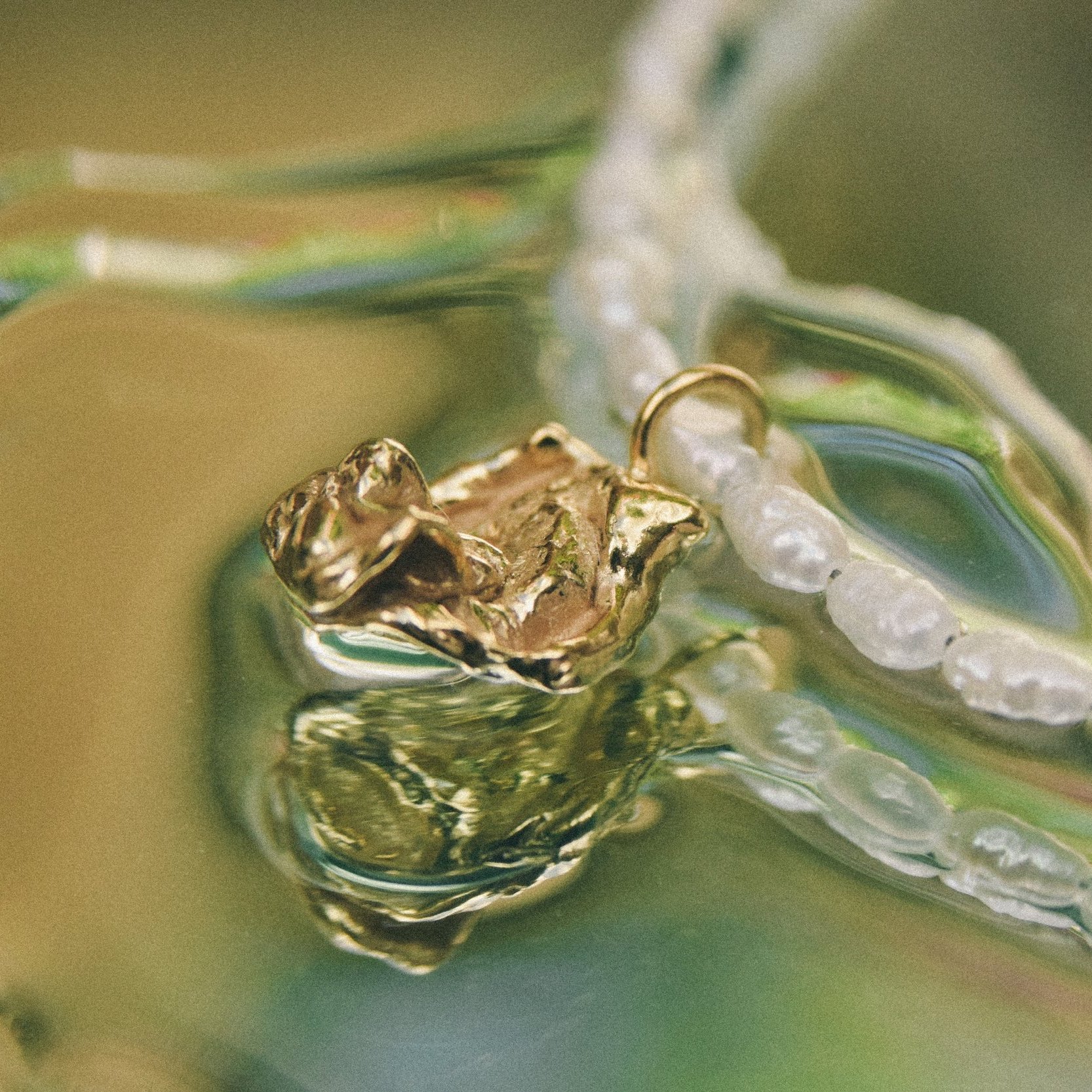 Forms+of+Water+-27.jpg