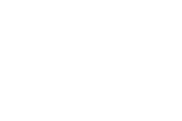 Texas Beef Initiative