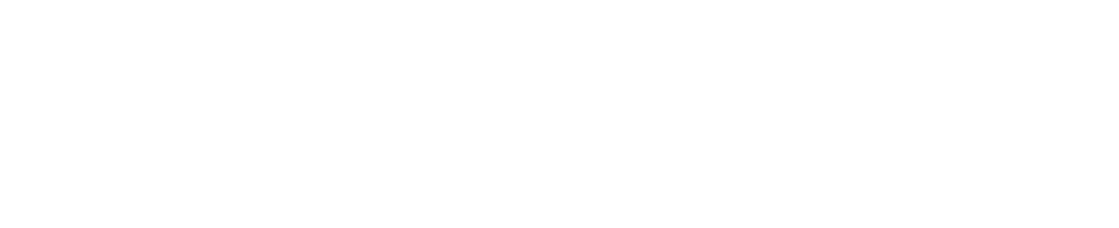 JOANA HAHN