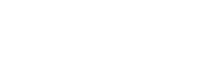 JOANA HAHN