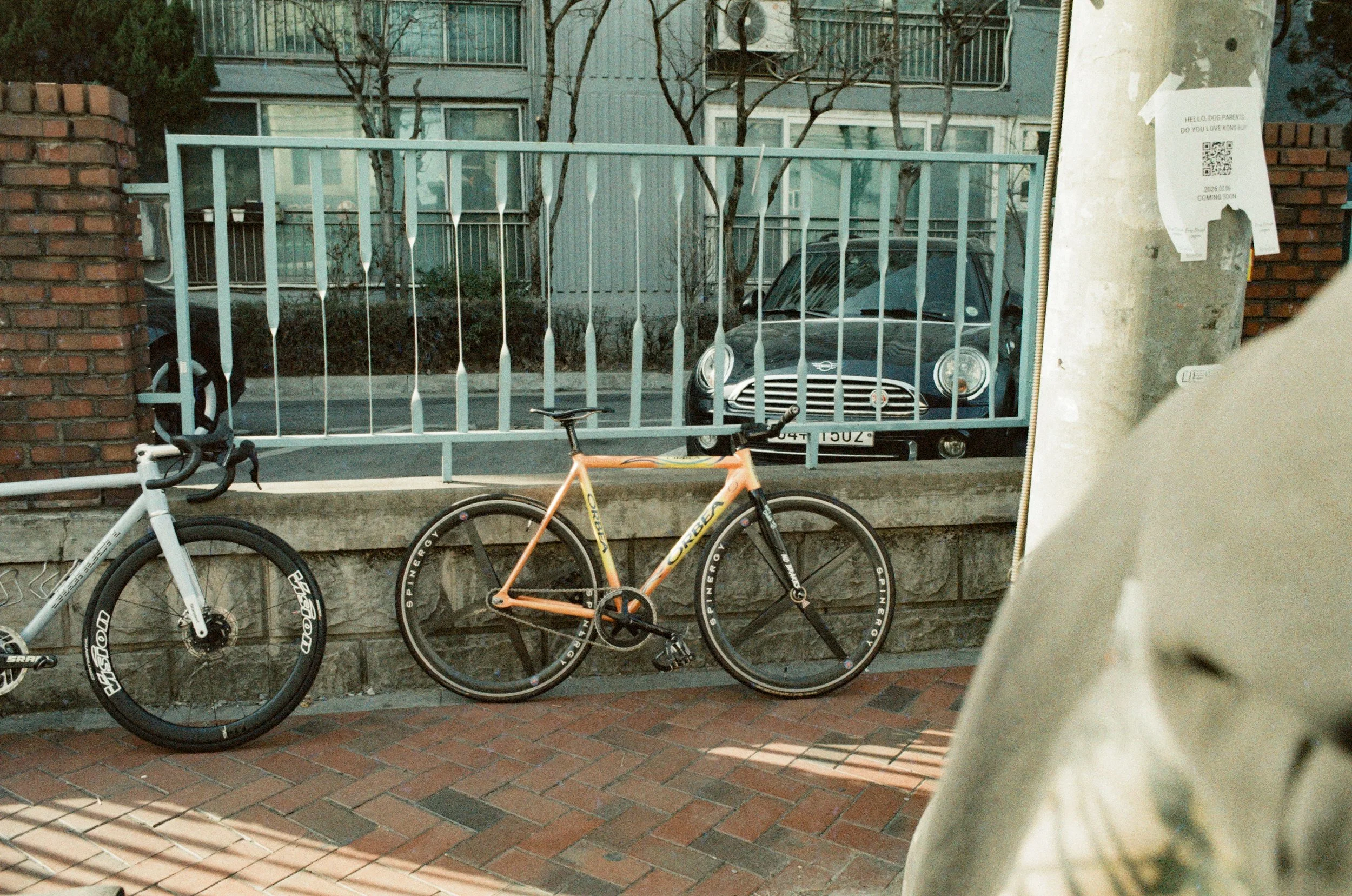 Korea Brakeless Crackdown fixed gear track bike mash steel gt gtb