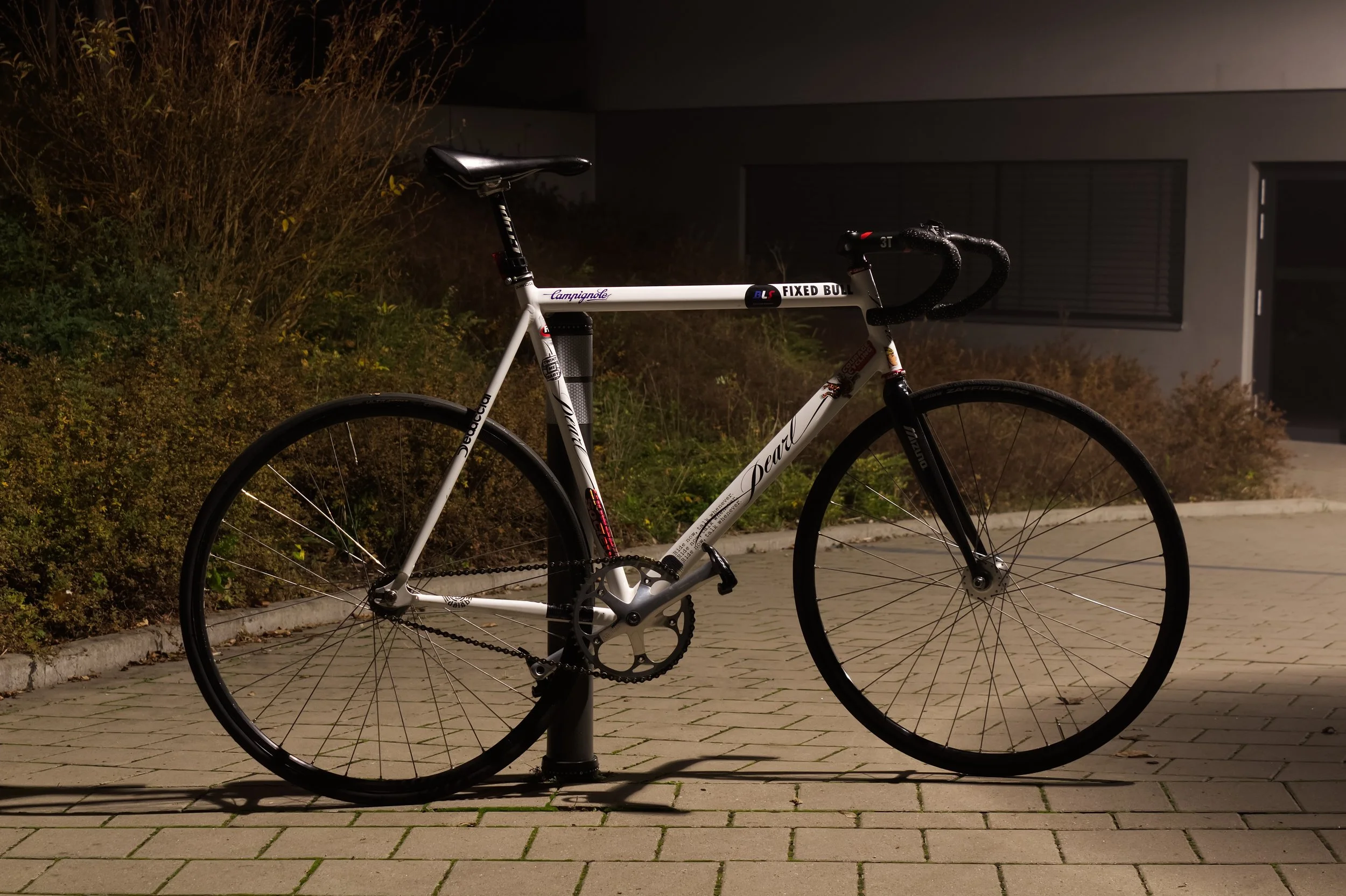 fin_small-pole copy.jpg