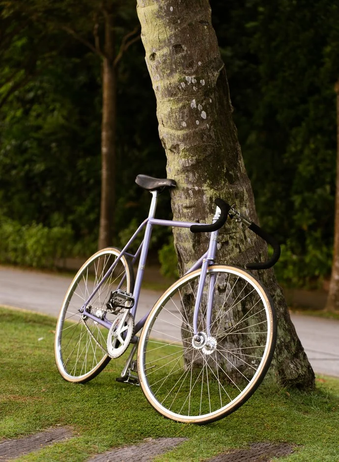 makino-njs-lilac-52505_6.jpg