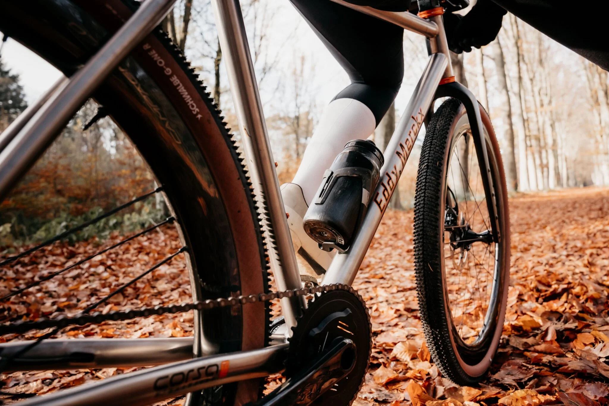 Titanium Eddy Merckx, Deda Allroad Carbon Wheels, Starling Bingo-Wing Titanium Cranks