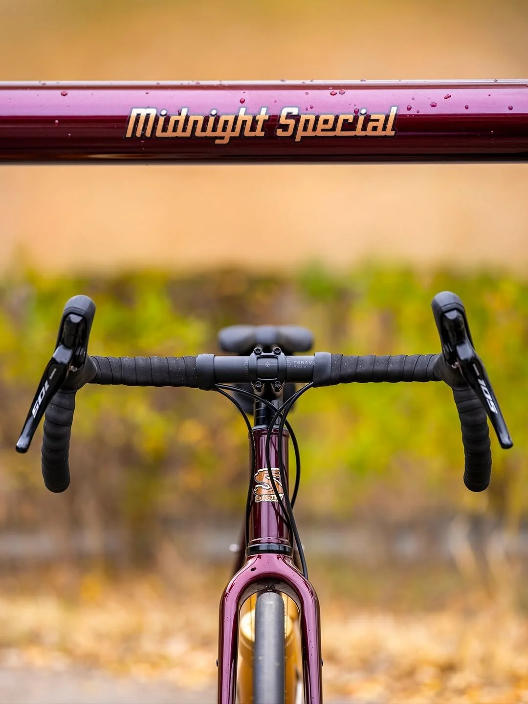 SURLY Midnight Special (Carbonated!), Omnium CXC V4, and Chris King Gold Grease