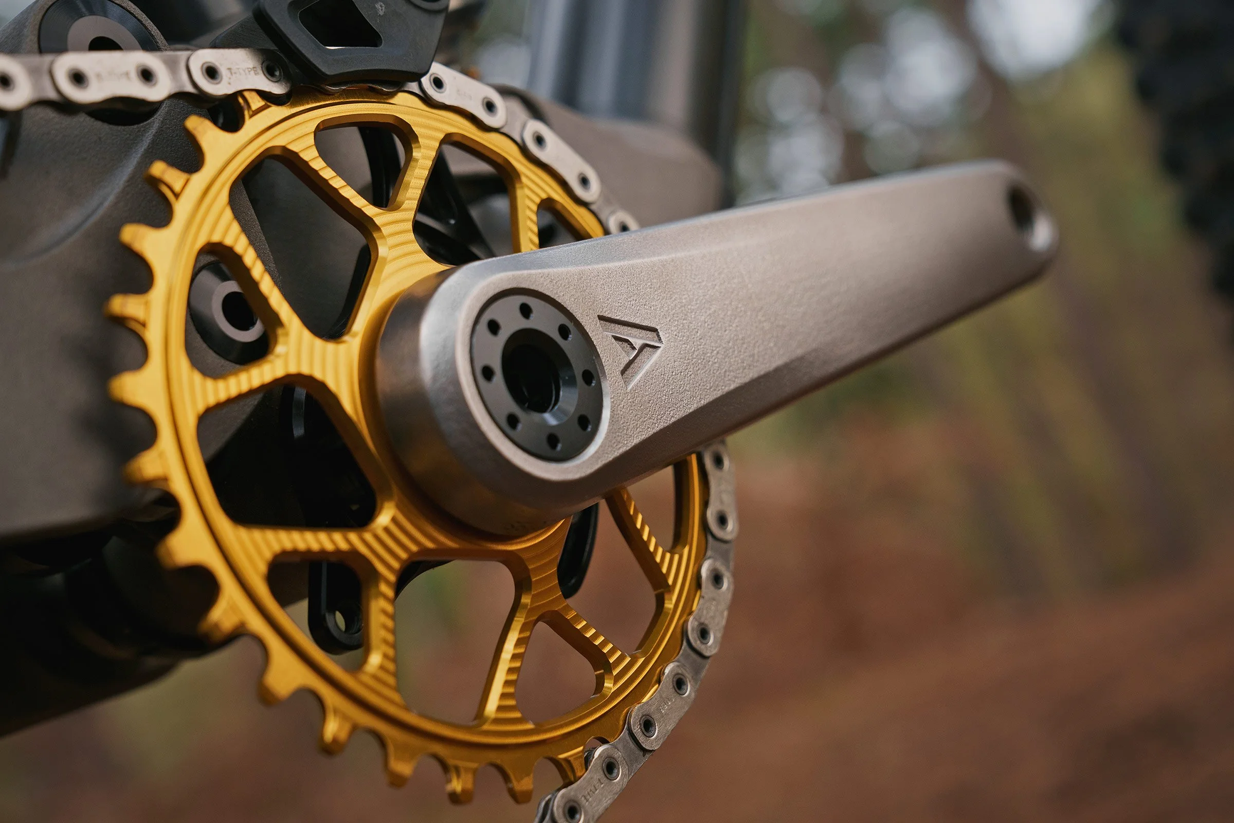 Atherton-A-GR-TI-3D-printed-titanium-gravity-mountain-bike-cranks_photo-by-Deam-Smith_up-close.jpg