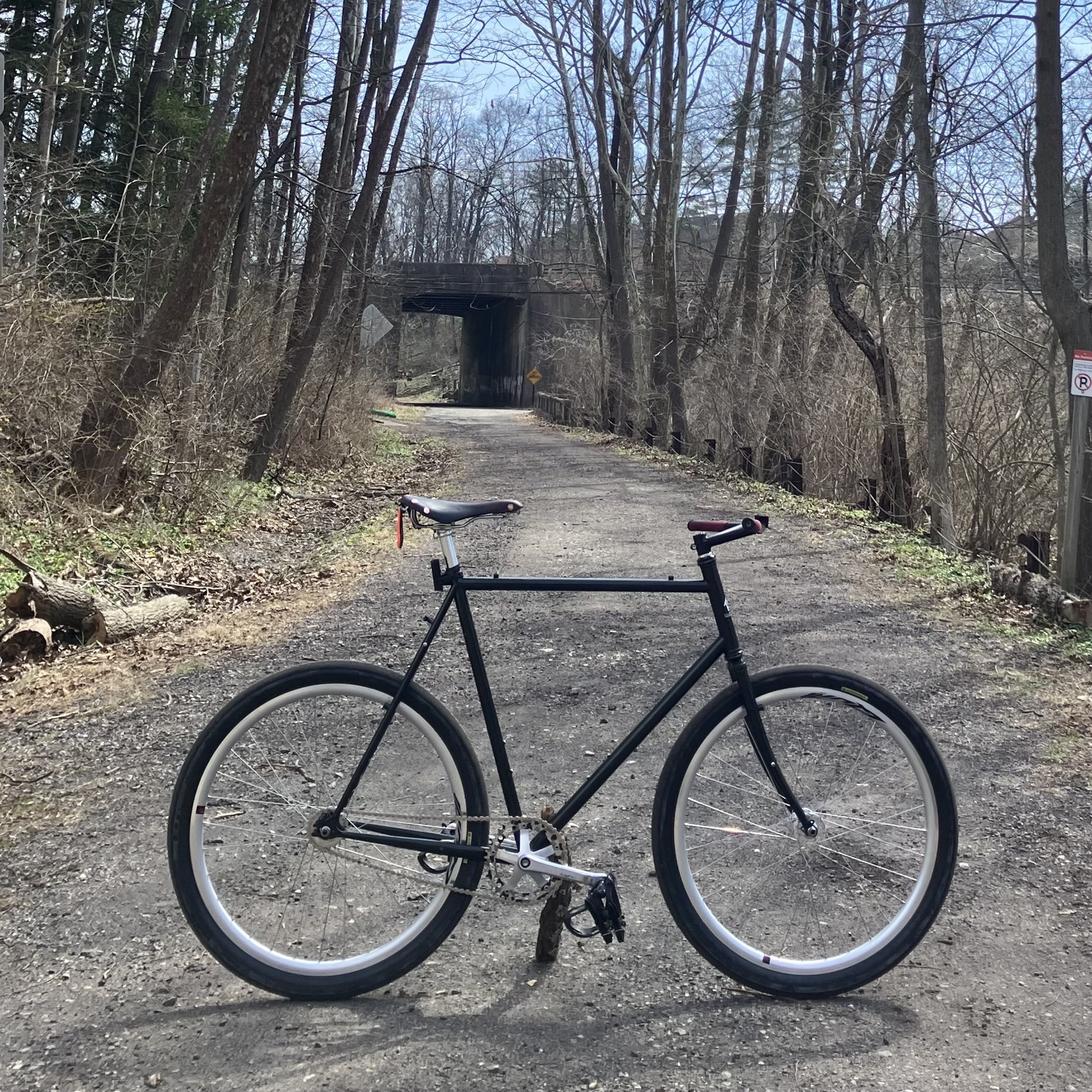 Wabi Thunder by Nick