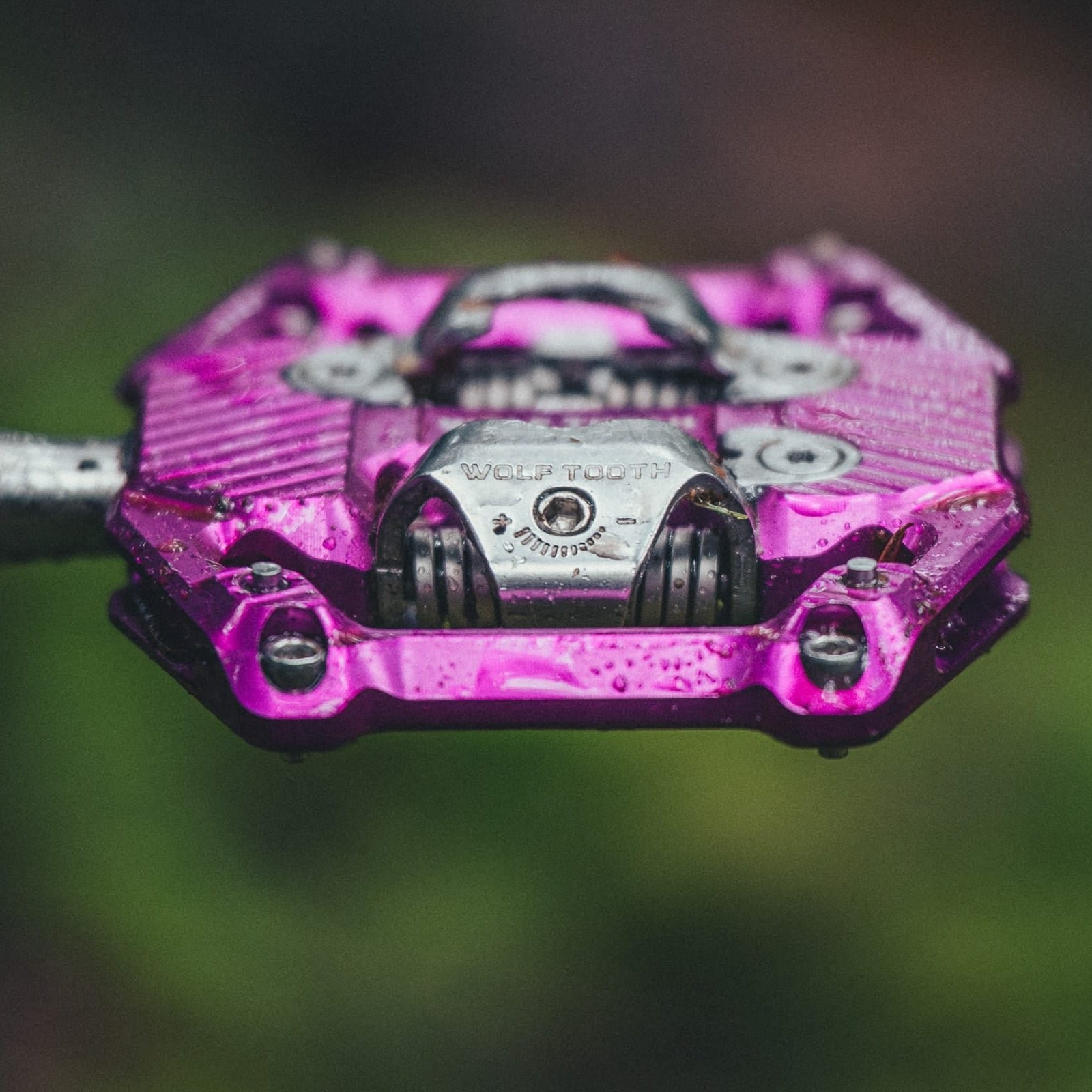 Ritchey Garden City,Surly Sorceress, and Wolf Tooth SHIFT Gravity Pedals