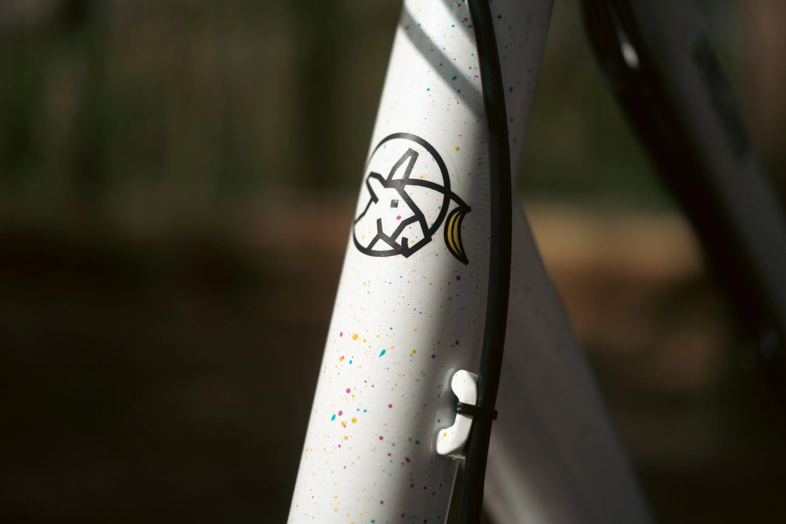 The Unicorn Pony, State Bicycles 4130 Restocked, and Galfer Shark EVO Disc