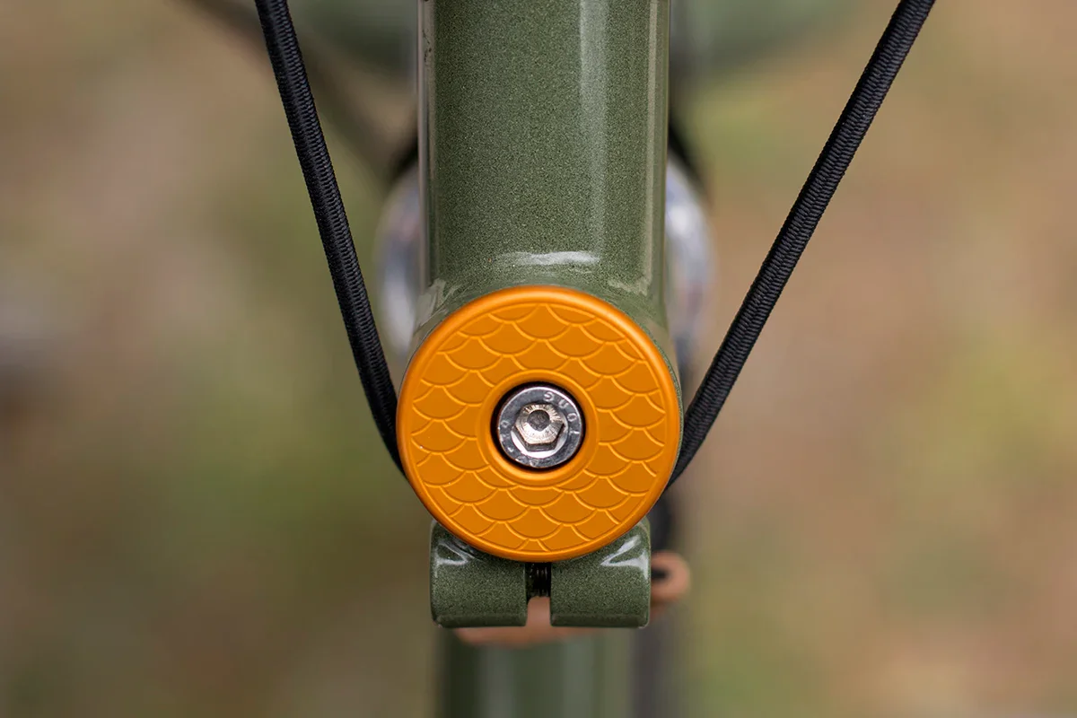Trout_Orange_3_Web.webp