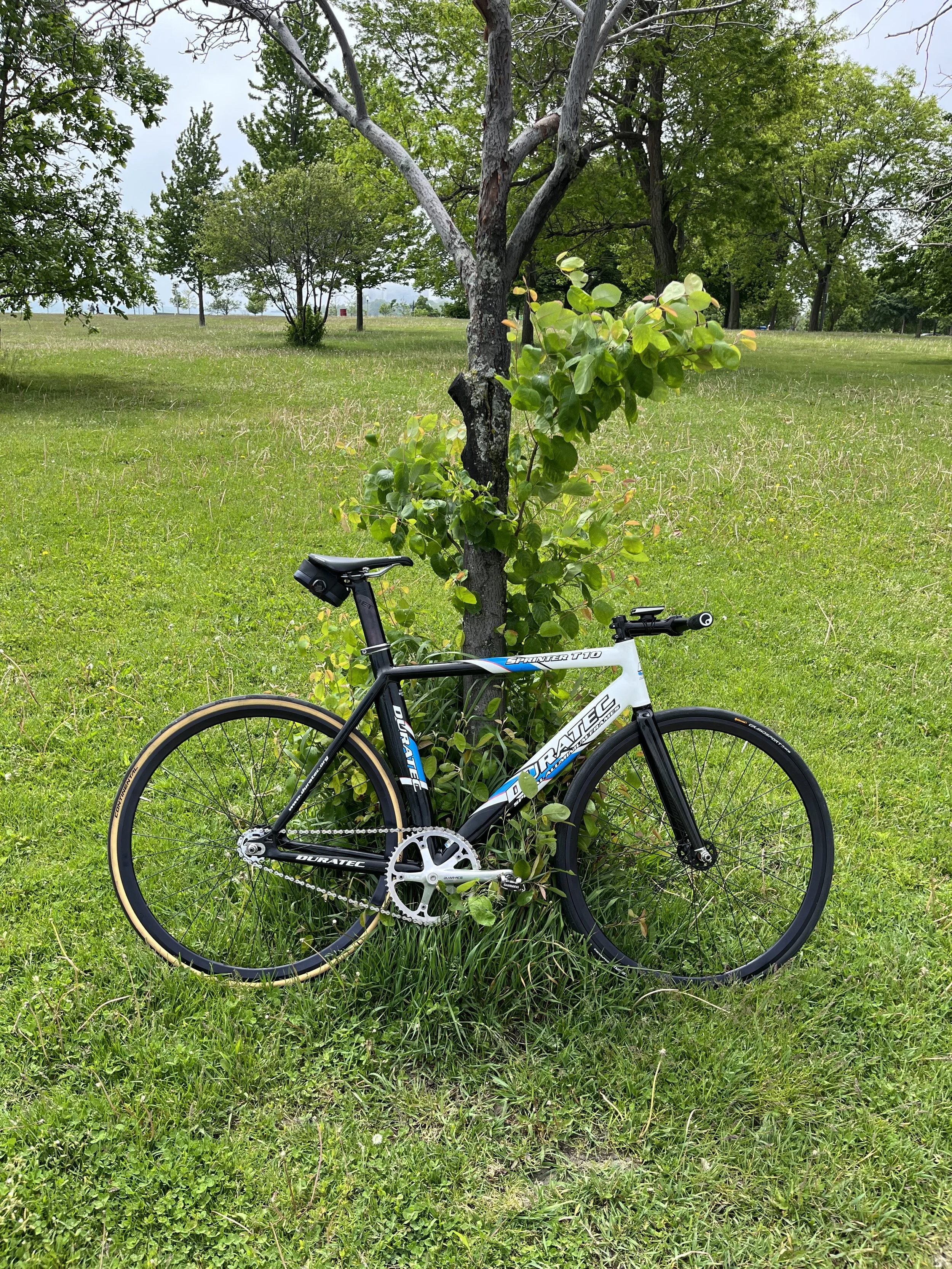 Sprinter.jpeg