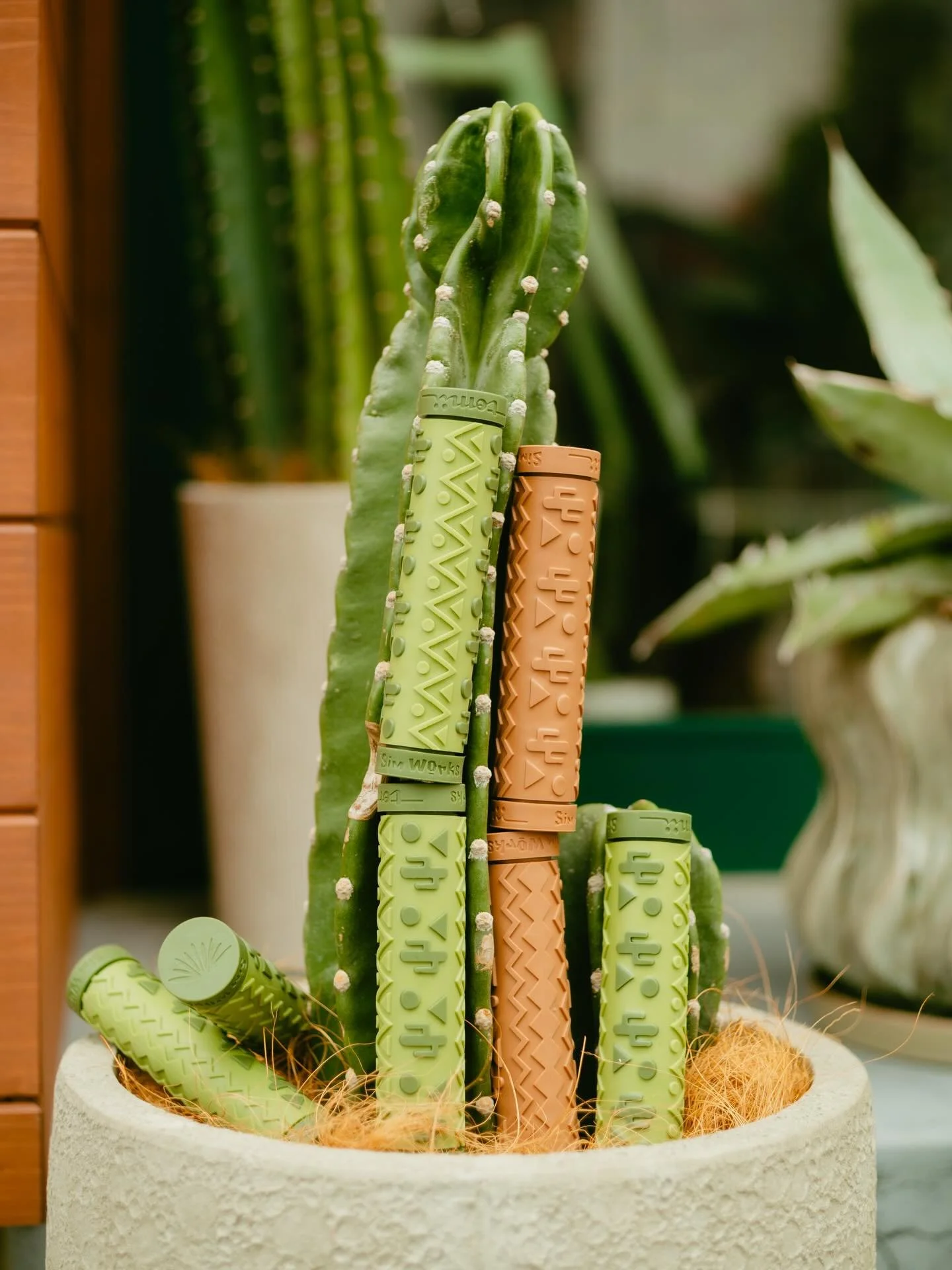 instagram_DafHU0qHUrr_1.jpg