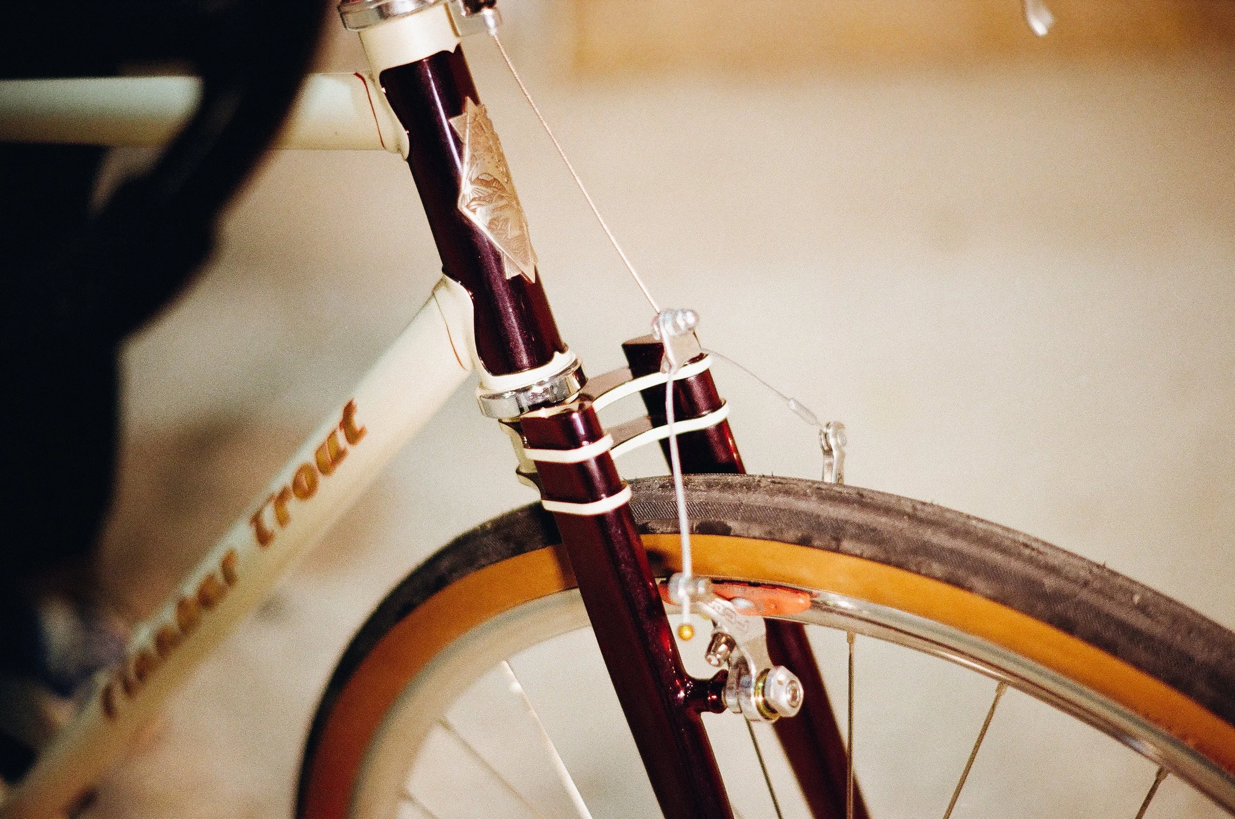 Finnbar Trout Rumble Fish track bike single speed cyclocross steel hand made garbaruk beast components astral mack superlight bespoked dresden