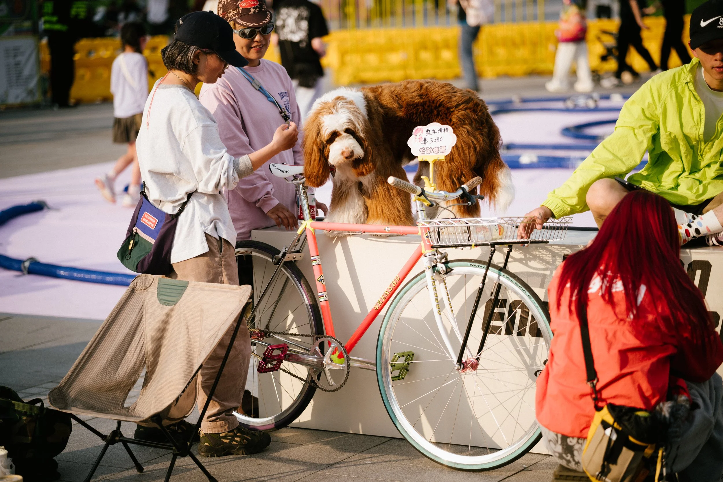 China Shanghai Bike Cycling Culture Fixed Gear prototype cyclo-cross Affinity
