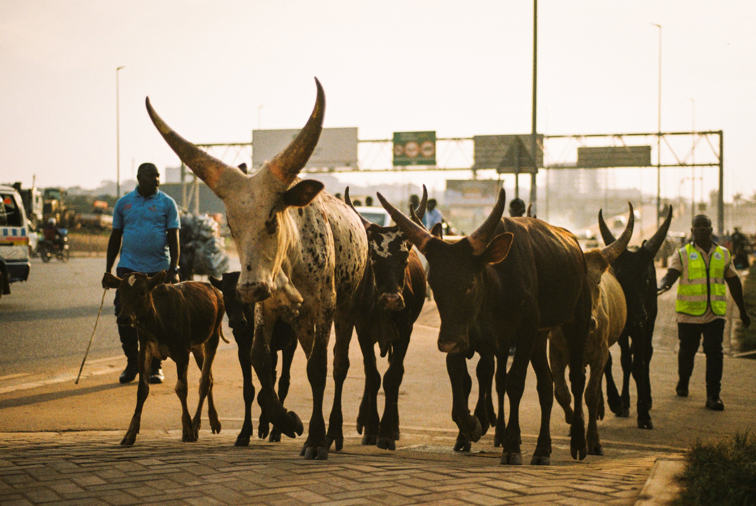 Fixed Gear Tracklopacking Bikepacking Fixed Gear Africa Uganda Film