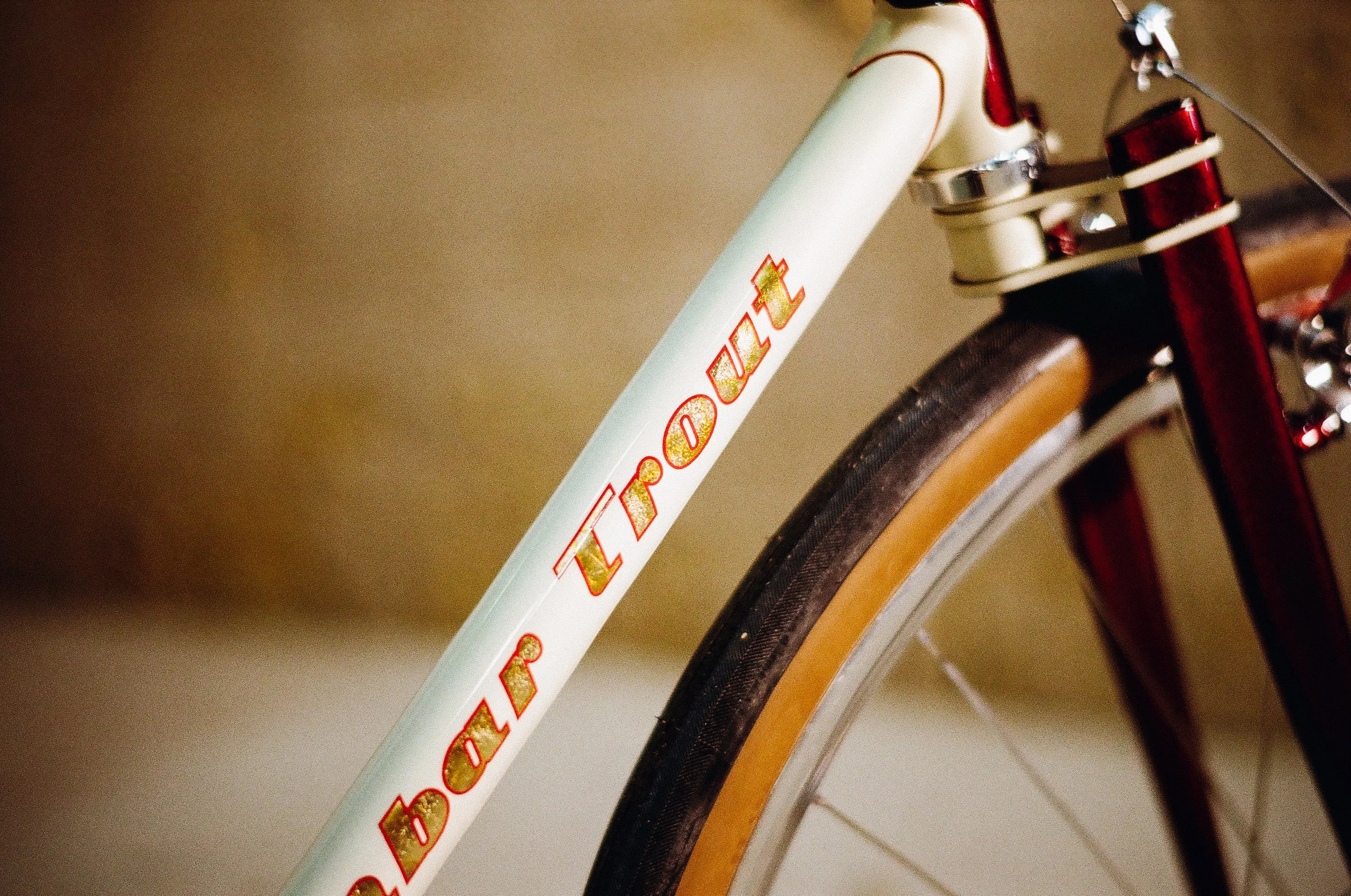 Finnbar Trout Rumble Fish track bike single speed cyclocross steel hand made garbaruk beast components astral mack superlight bespoked dresden