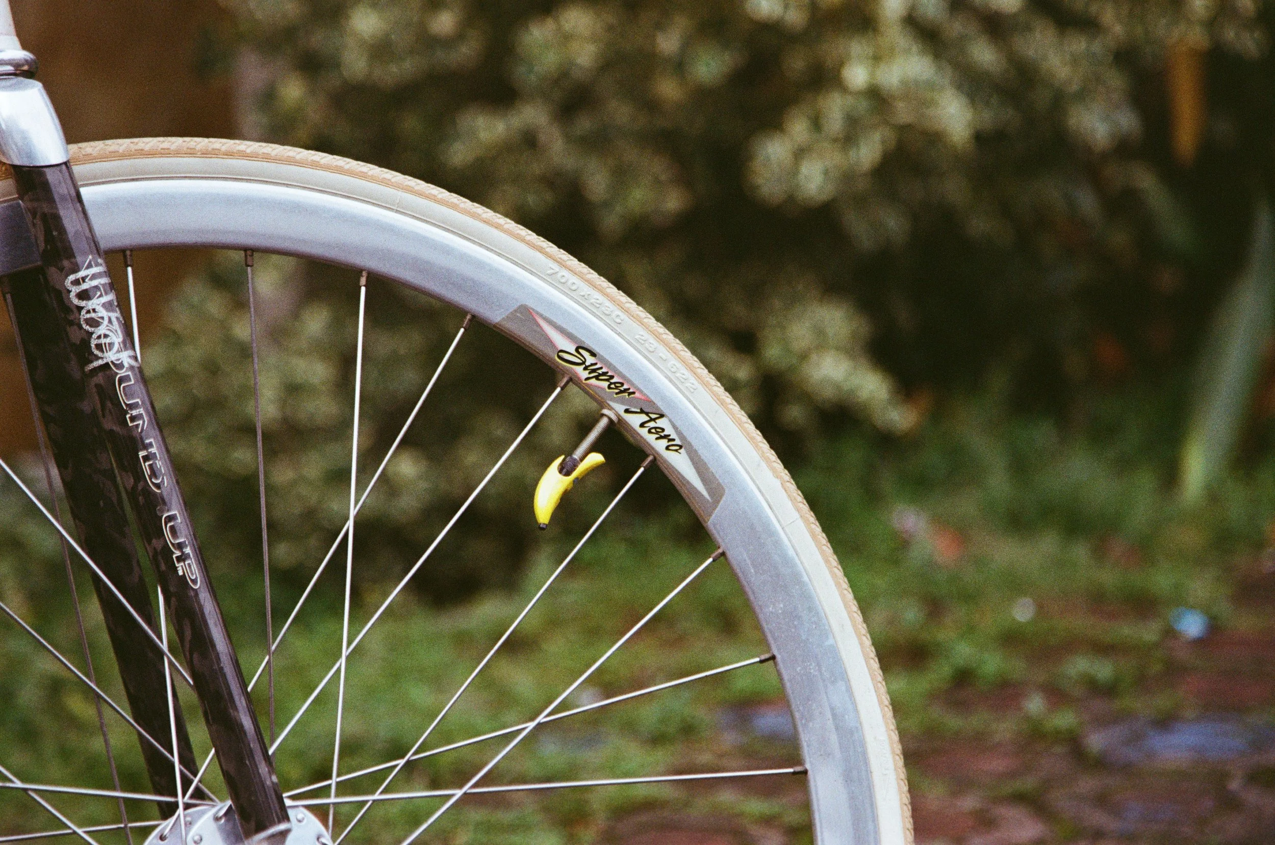 Samson Illusion Fixed gear track bike Sakura Fade NJS Japan Araya super aero campagnolo super pista record salsa stem phil wood