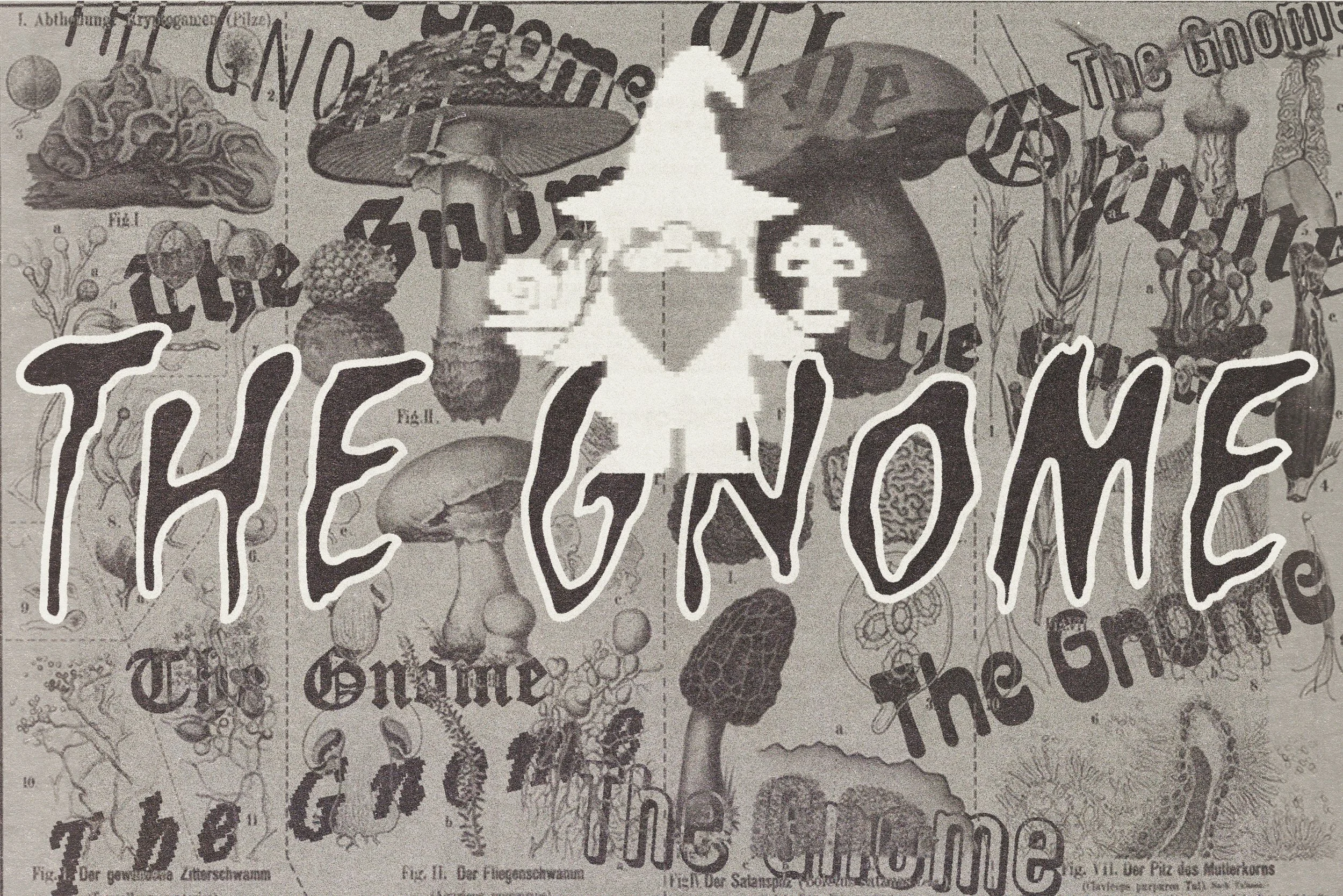 The Gnome Compact Vision Slow Spin Society Minivelo