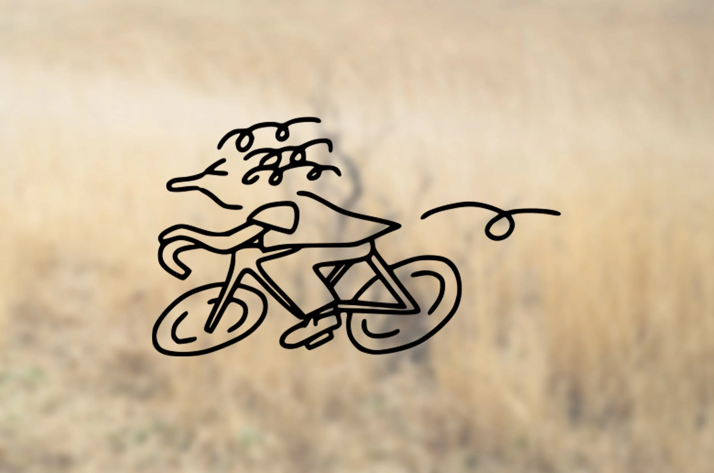 Weis Tracklocross prototype, No.22 Little Wing, Fixed Gear Track bike, Slow Spin Society, Frame stiffness