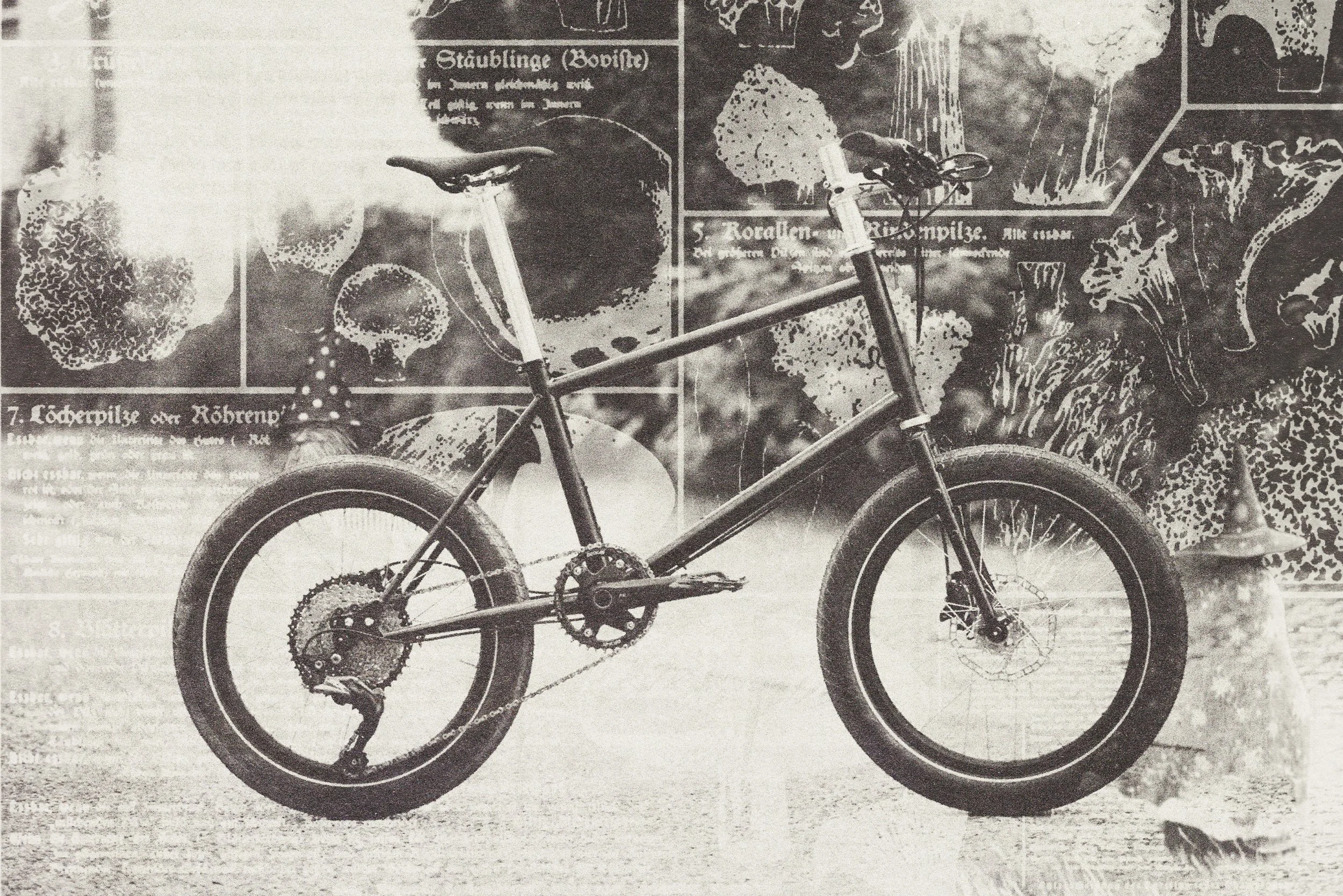 Compact Vision Minivelo
