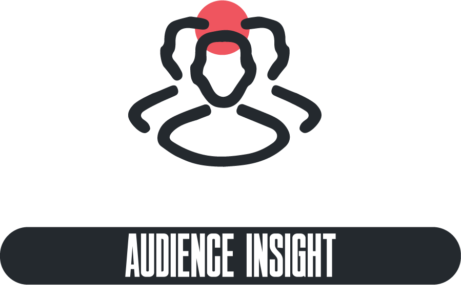 2. Audience Insight_1.png