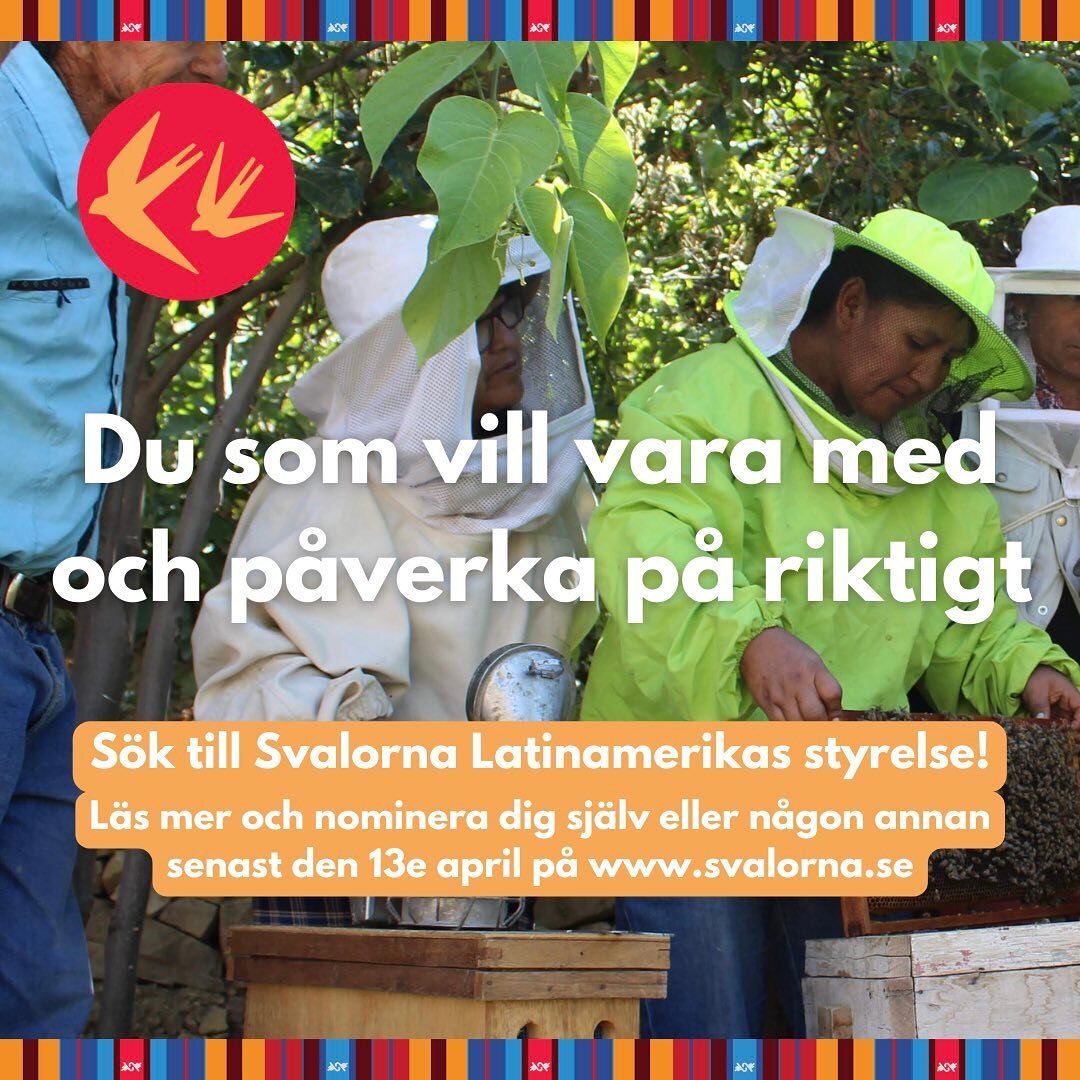 S&Ouml;K TILL SVALORNA LATINAMERIKAS STYRELSE! 

Nu mer &auml;n n&aring;gonsin beh&ouml;vs DITT engagemang f&ouml;r m&auml;nskliga r&auml;ttigheter och j&auml;mst&auml;lldhet i v&auml;rlden! Med p&aring;g&aring;ende nedsk&auml;rningar i bist&aring;nd