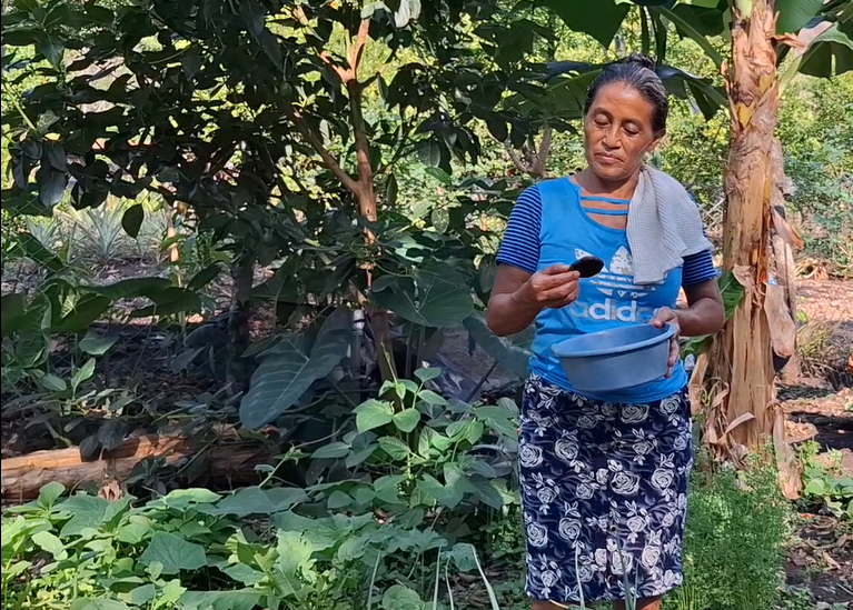 Nicaragua: Från jord till bord