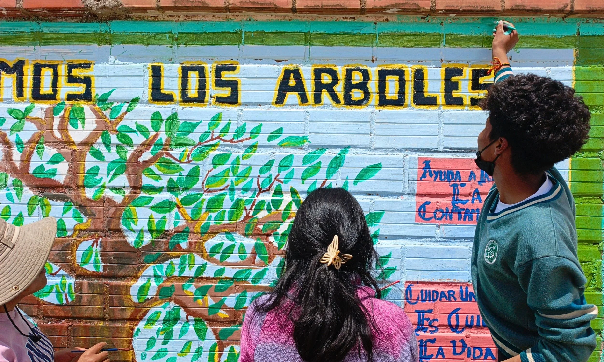 Svalorna Latinamerika Bolivia.jpg