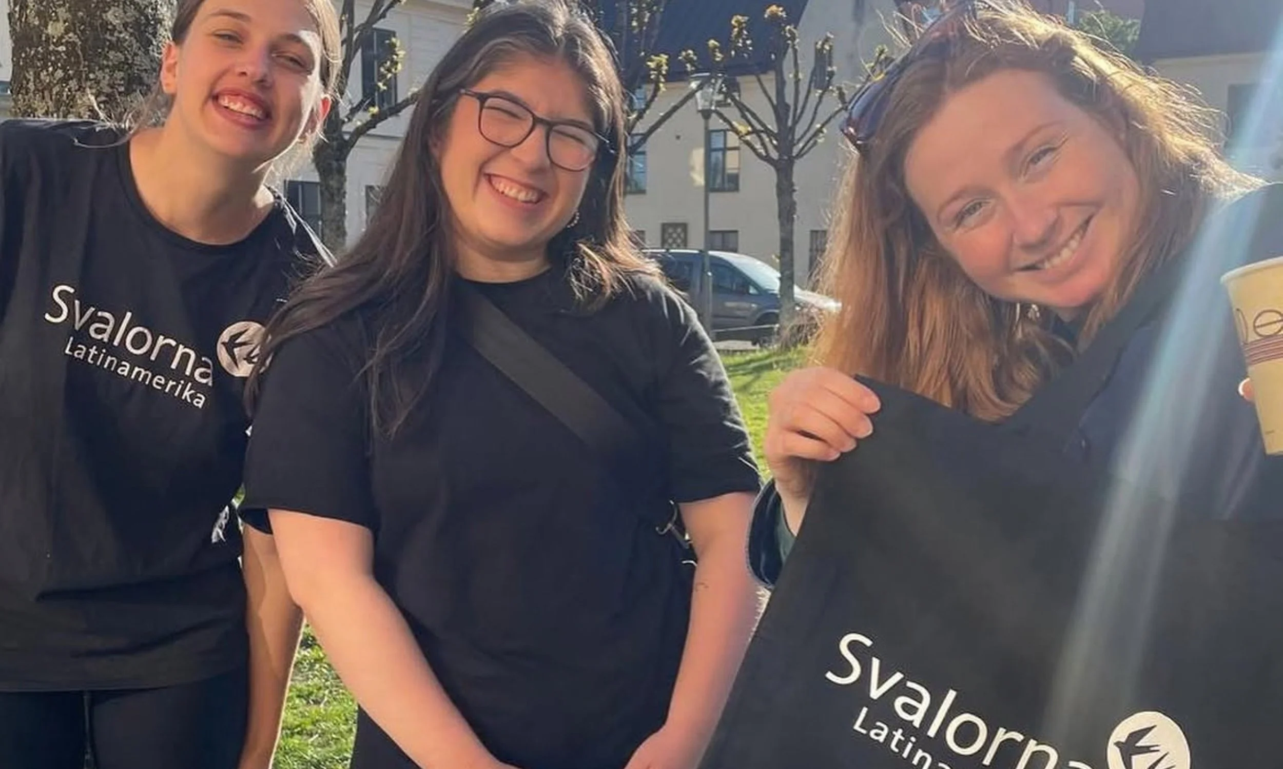 Engagera dig- Svalorna Latinamerika