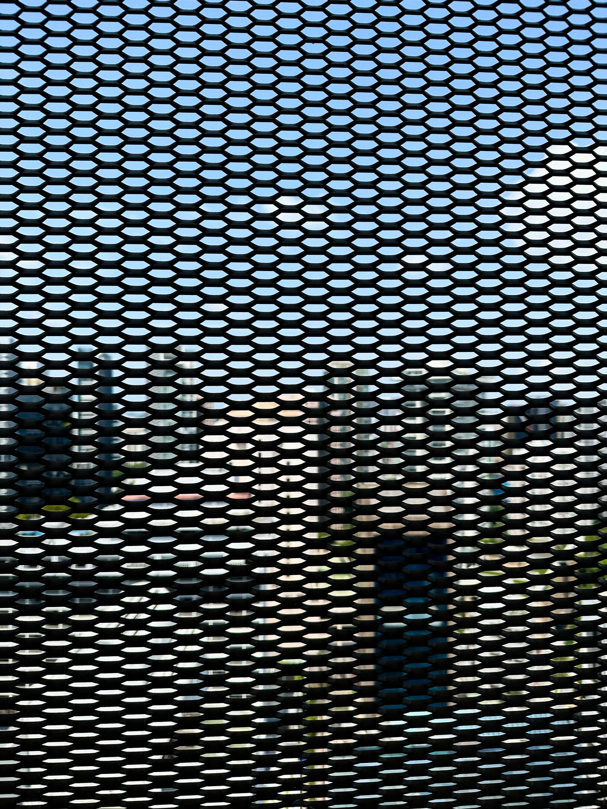Pan Pacific Louver Expanded Mesh.jpeg