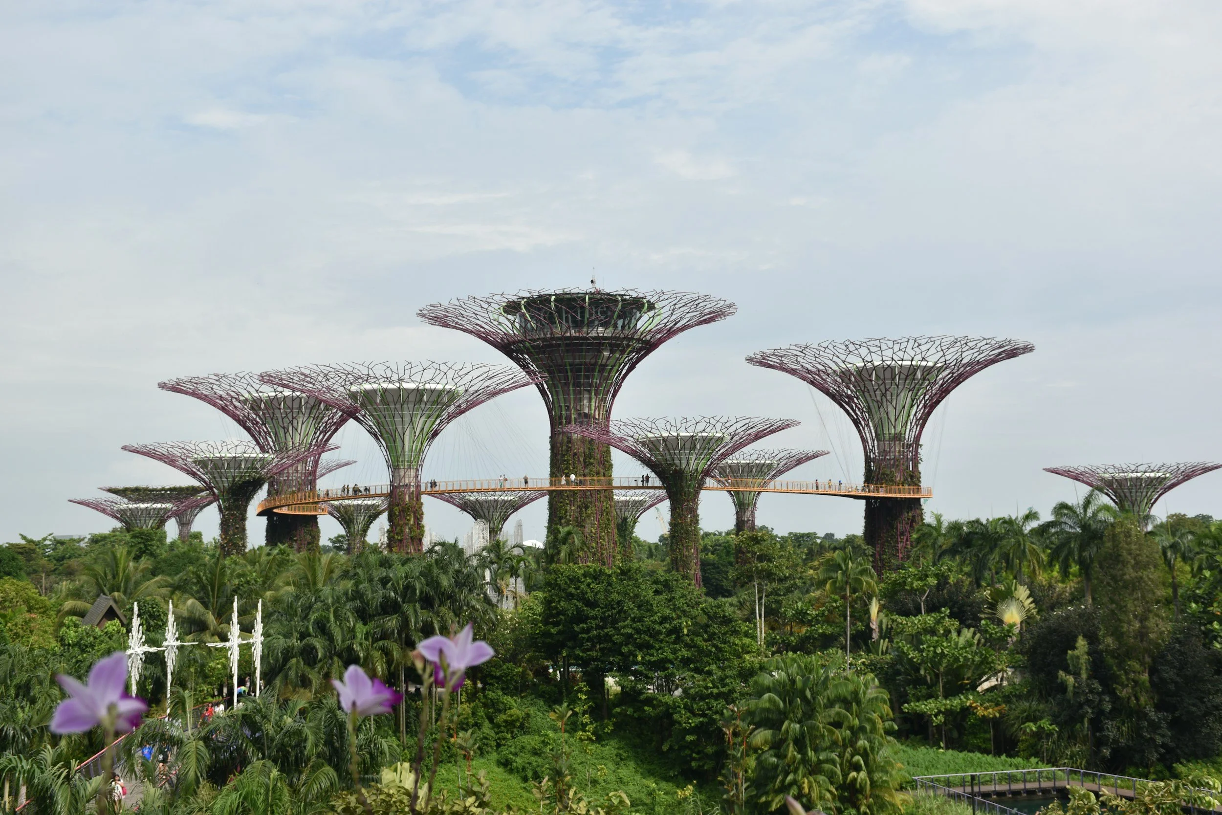 Why Expanded Metal Mesh Is One of Singapore's Most Quietly Sustainable Building Materials