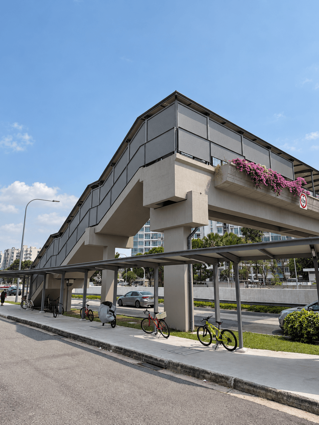 Dunearn Bukit Timah Pedestrian Bridge Railing Main.png