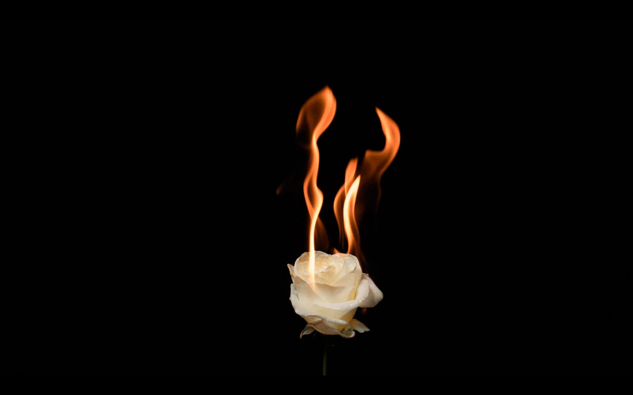 INCANTATIONS