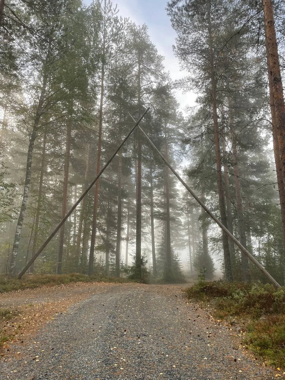 photo_2022-10-11 15.25.07.jpeg