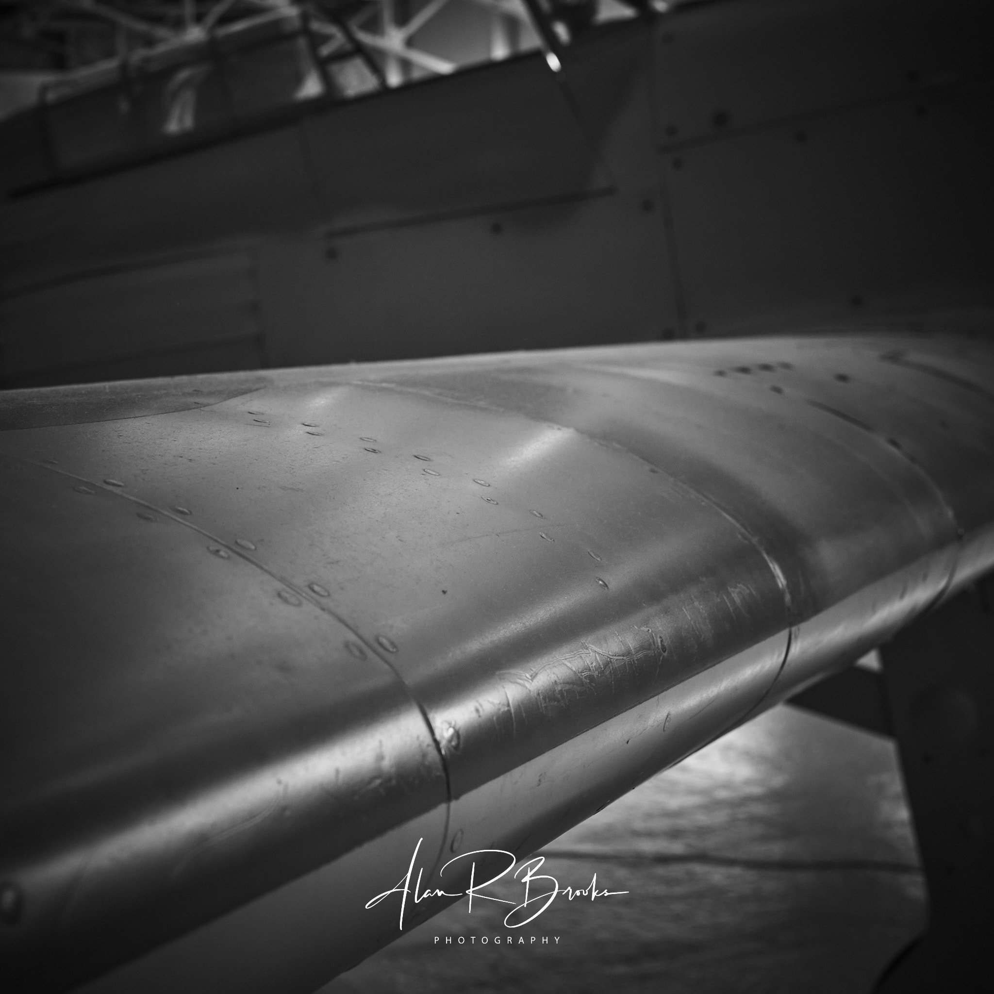 L1000290.jpg