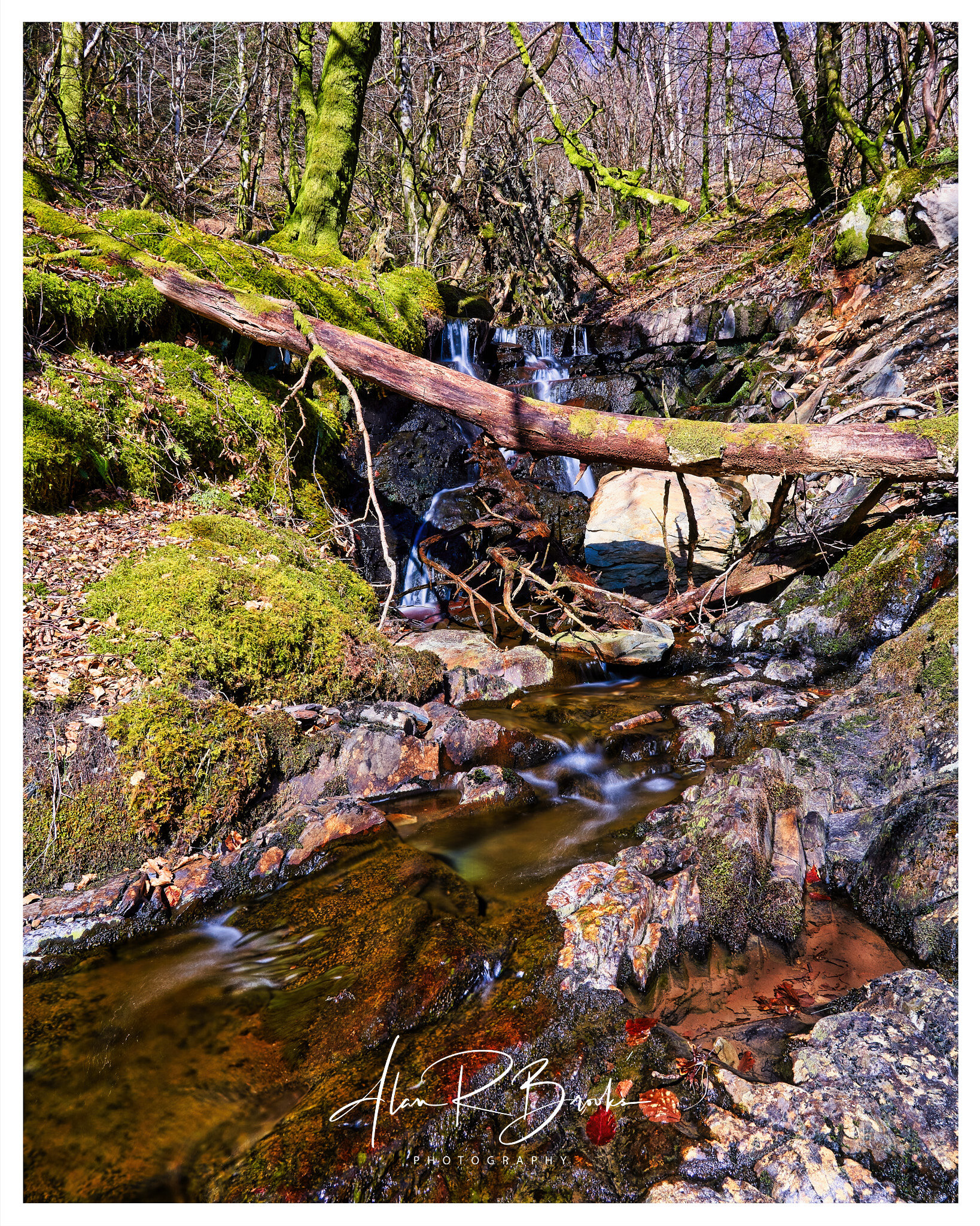 DSC02273 2_HDR Luminar Border.jpg