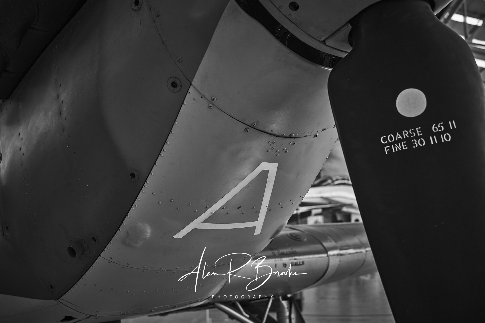 L1000285.jpg