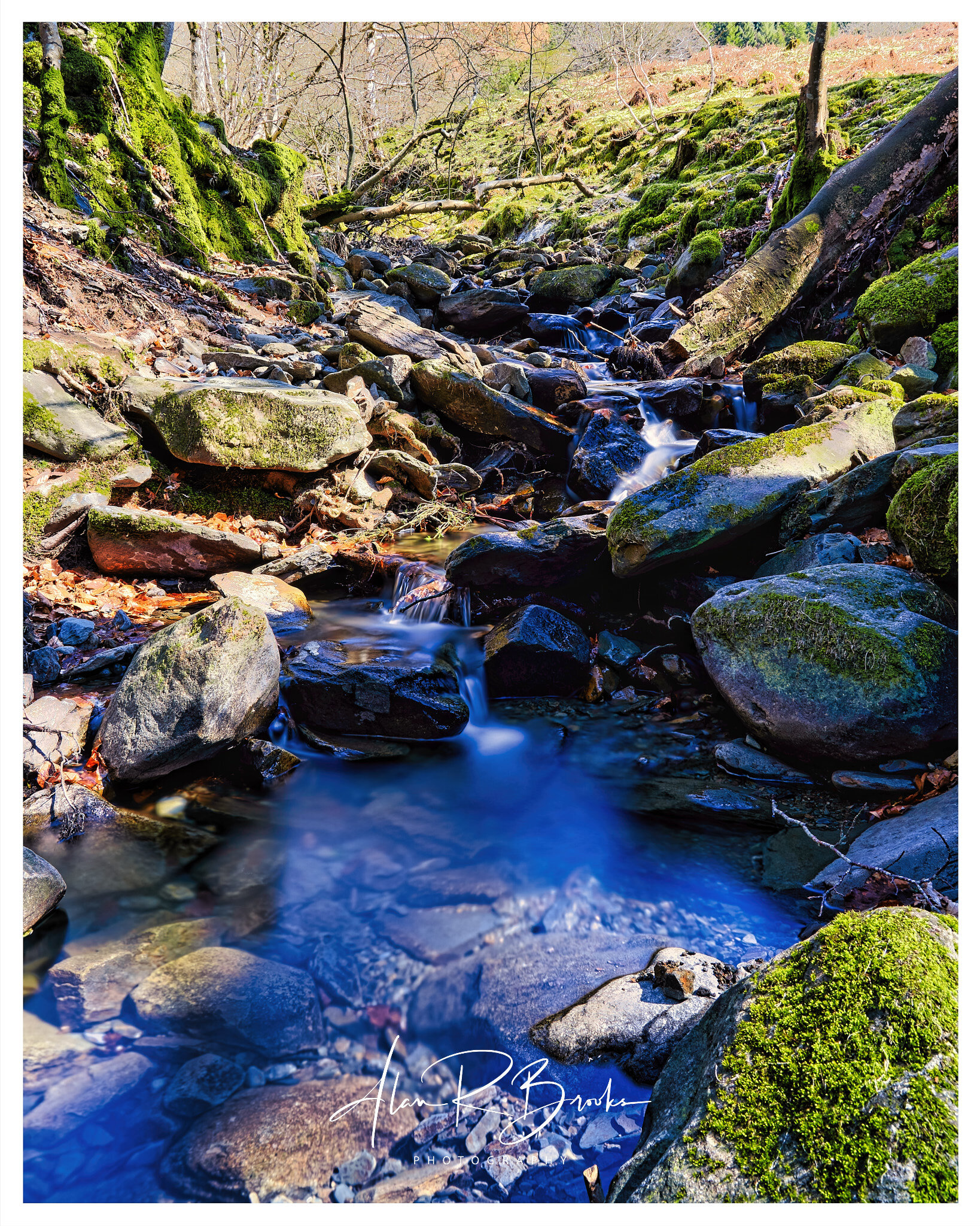 DSC02244_HDR Luminar Border.jpg