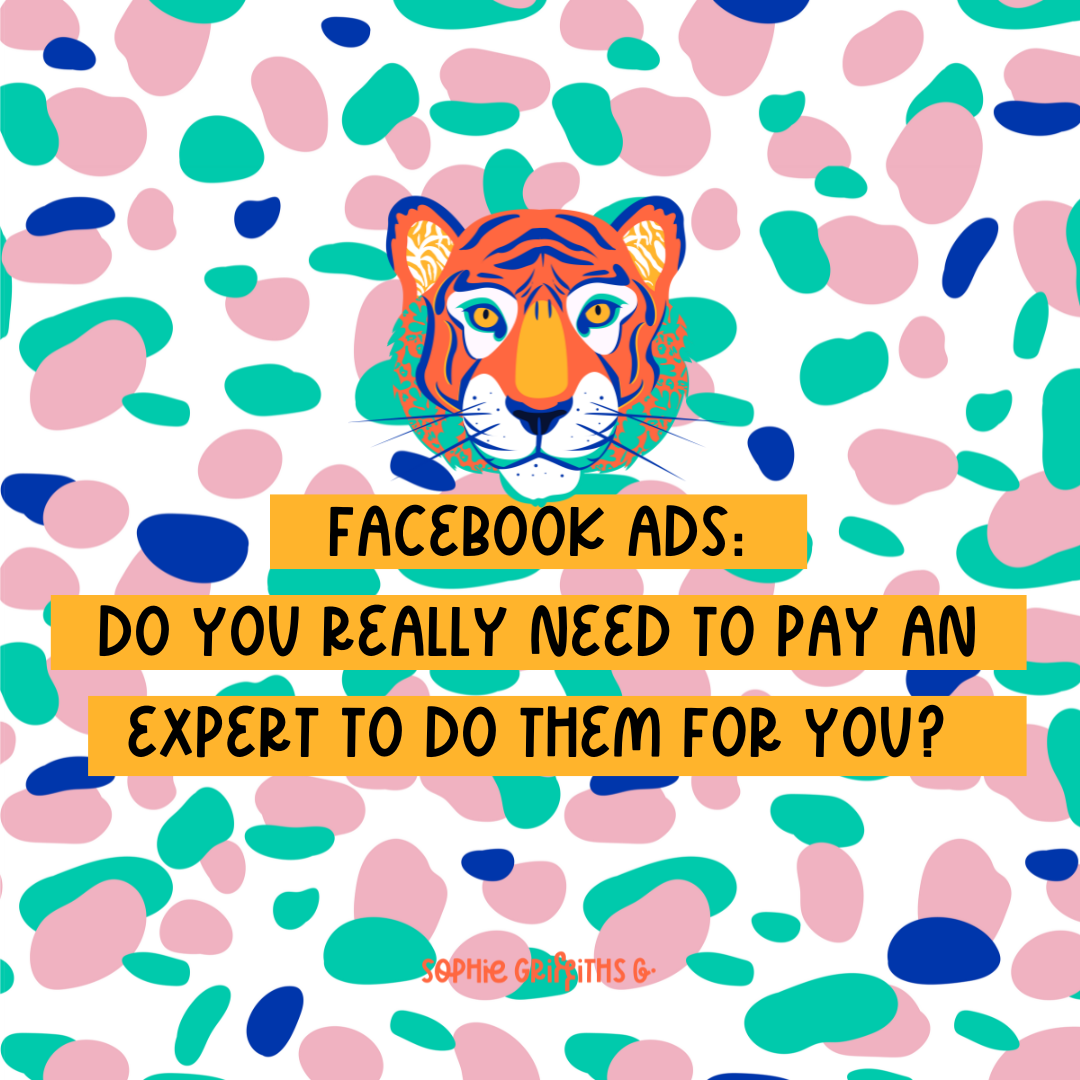 Facebook Ads: Do you really need to pay an expert to do them for you?