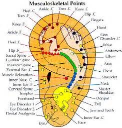 ear acupuncture points meredians nourishing therapies.jpg
