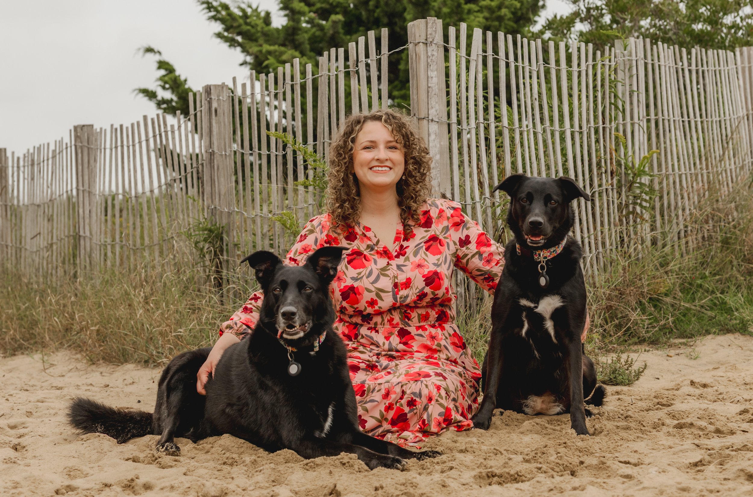 DOG/PET SESSIONS